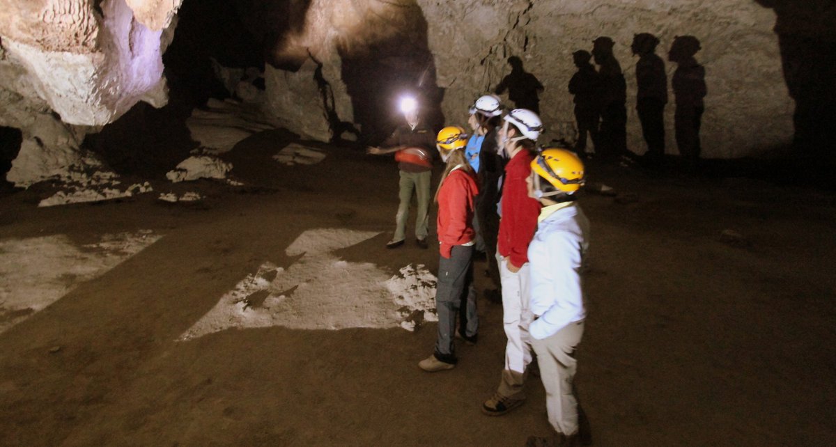 MalargueTurismo's tweet image. Estalactitas, estalagmitas, columnas y coladas, todas formas minerales que podes observar al ingresar a la Caverna de Las Brujas

Un lugar único que podes visitar en tus próximas #vacaciones

Te esperamos 😃

#malargueturismo #caverna #reservanatural #excursion #aventura