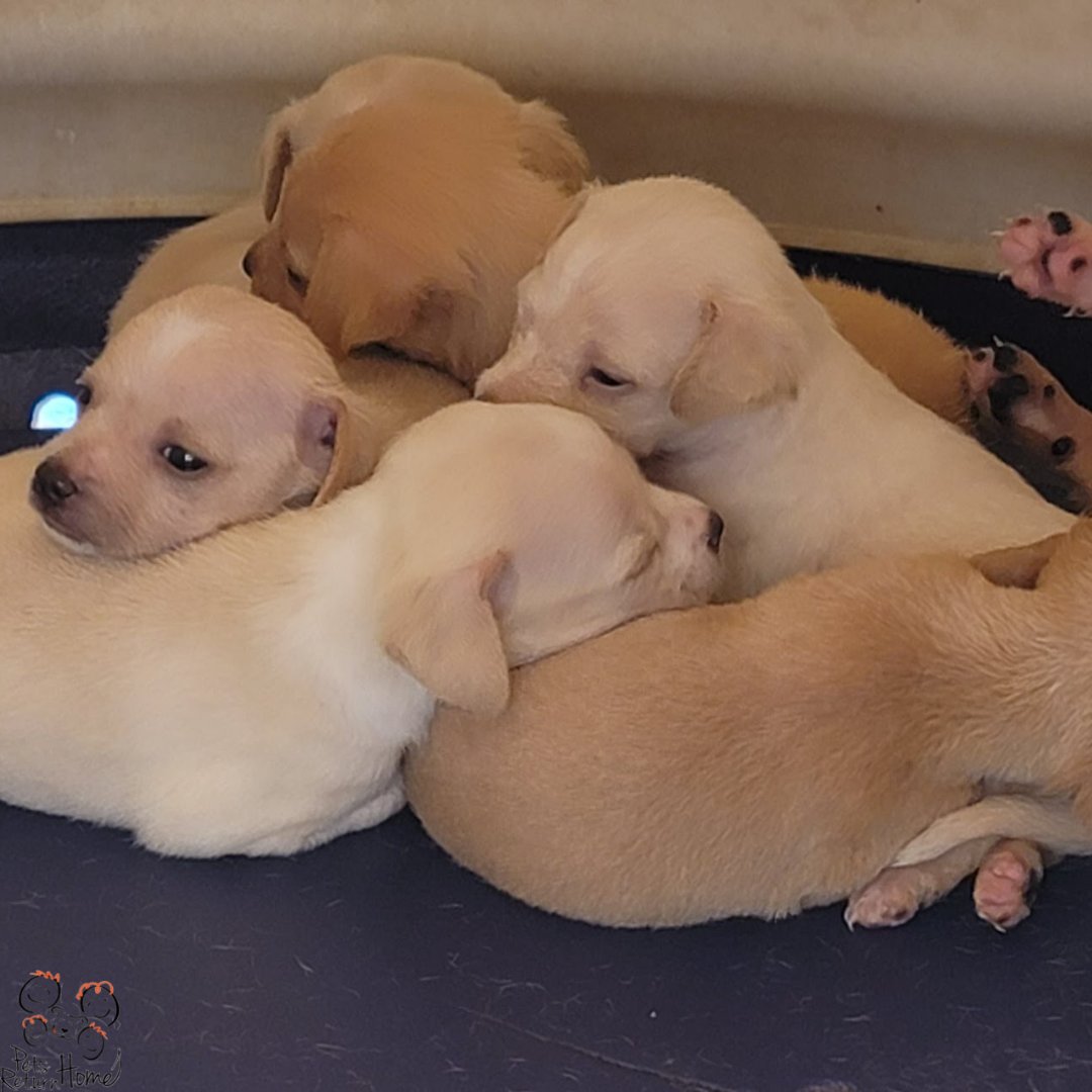 Saving Lives tweet media