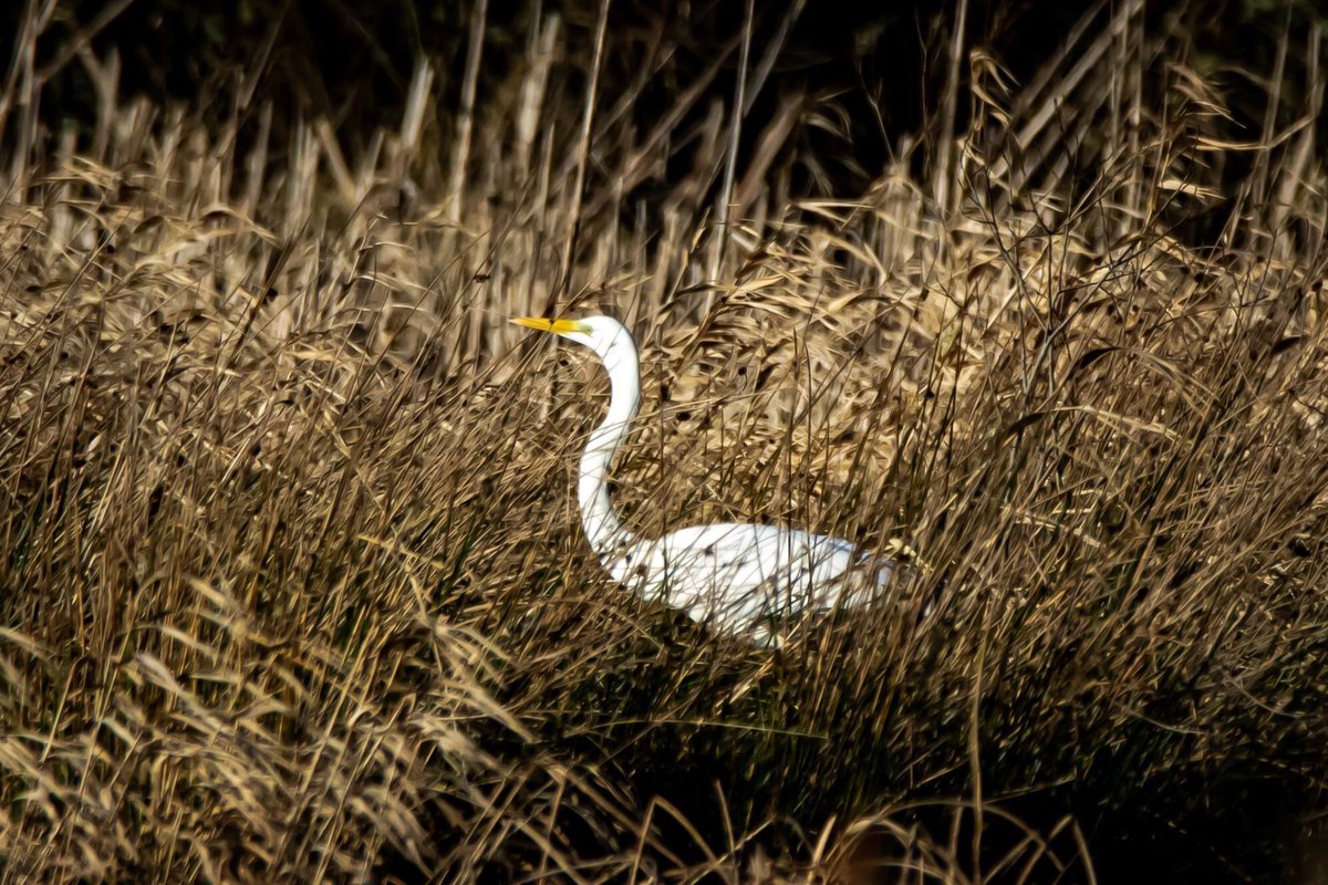 kevin barry tweet media