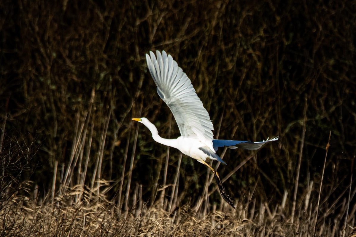 kevin barry tweet media