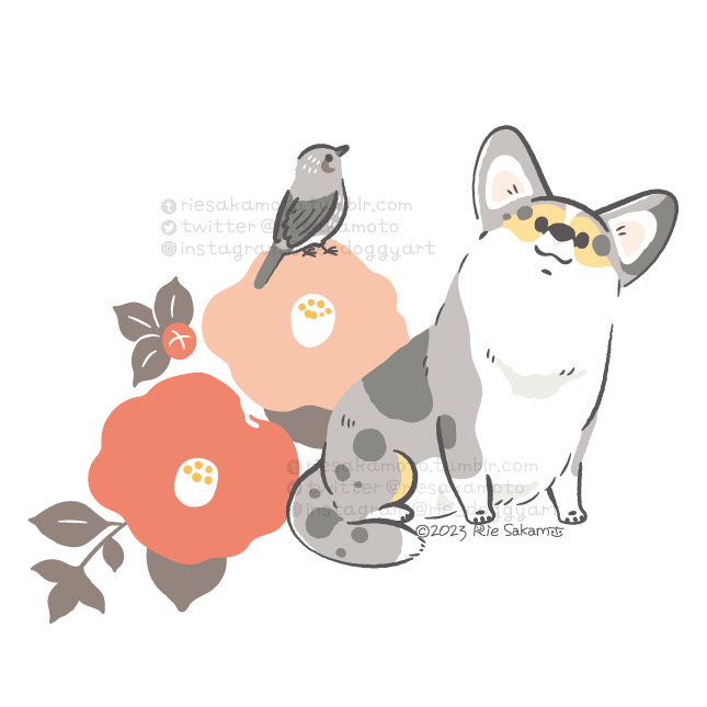 「コーギーと椿とヒヨドリと(6/9) 」|サカモトリエ/イラストレーターのイラスト