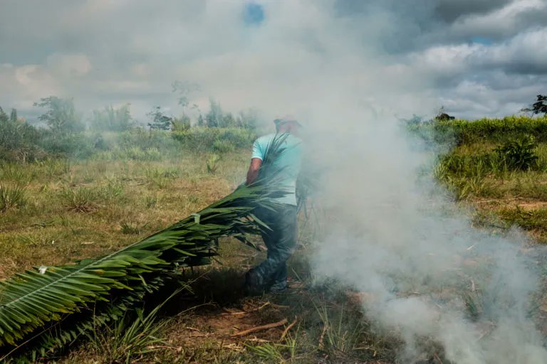 'Residents of a landless workers’ settlement in Anapu, Pará state, in Brazil’s Amazon region, accuse the federal government of favoring large landowners, land-grabbers and corporations at the expense of poor and landless peasants.' Via @mongabay buff.ly/3k99JH9