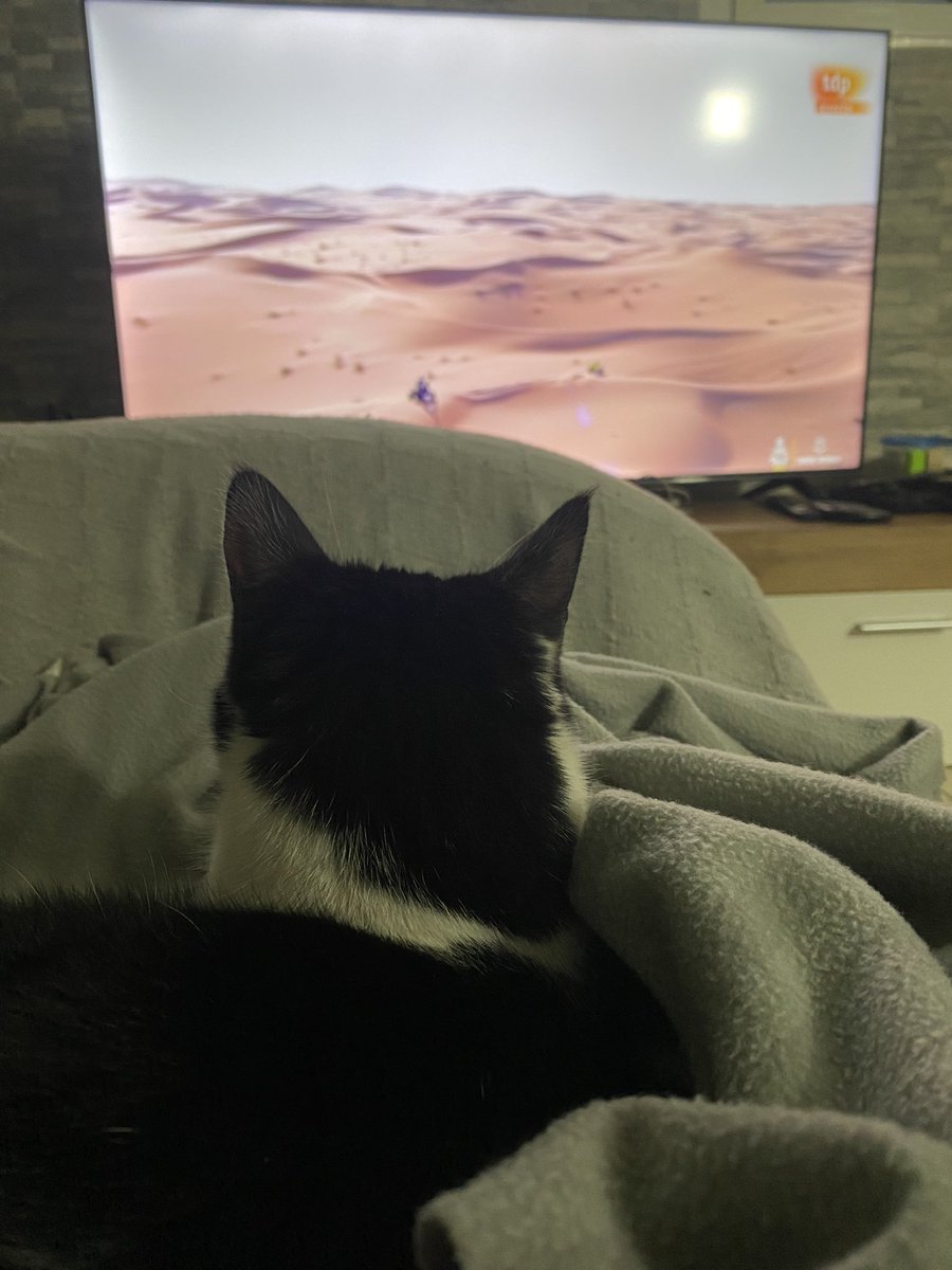 omarsense14's tweet photo. En esta casa sigue el @dakar hasta la gata 🐱 #dakarRTVE14ene @teledeporte https://t.co/yLErf70L3a