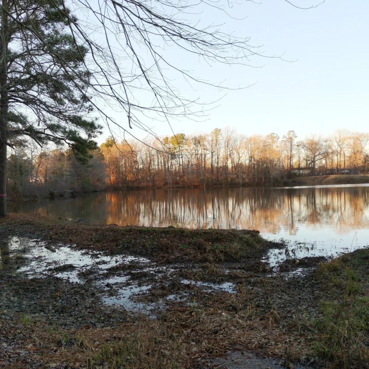 This is what our family's Saturday afternoon looked like a week ago.

#lake #park #optoutside #winter #winterinvirginia #virginiaisfornaturelovers #trees #roots #birds #1000hoursoutside