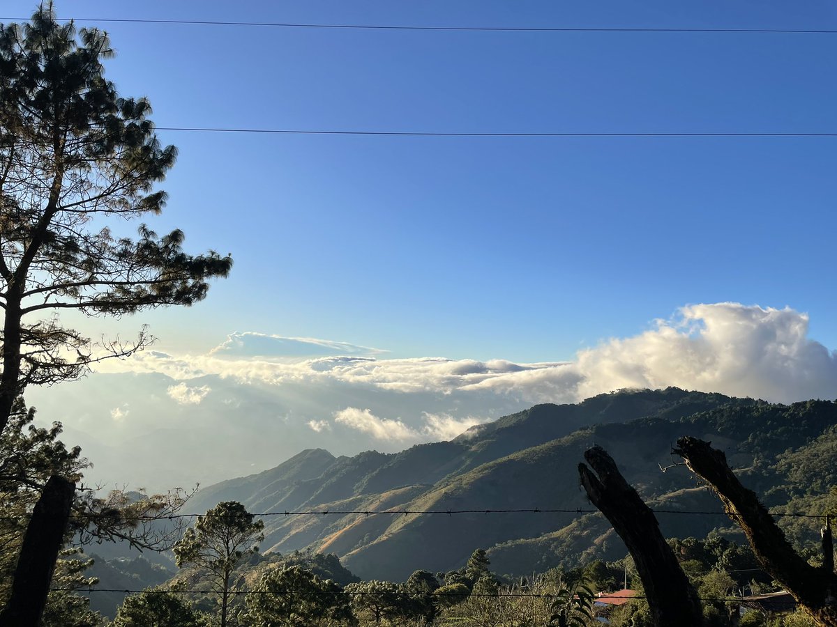 Cuando la visión de la iglesia está clara, el camino es uno: es JESUSCRISTO