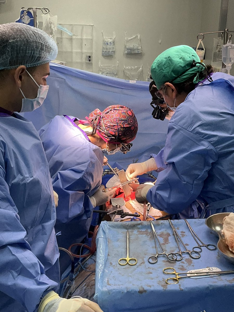 Dra Gabriela Del Angel’s <a href="/GabyDelAngelM/">Gabriela Del Angel Millan</a> first liver procurement followed by liver transplant in Chile <a href="/TrasplanteUC/">Instituto Clínico de Trasplante UC-Christus</a> (photo doing duct-to-duct reconstruction)