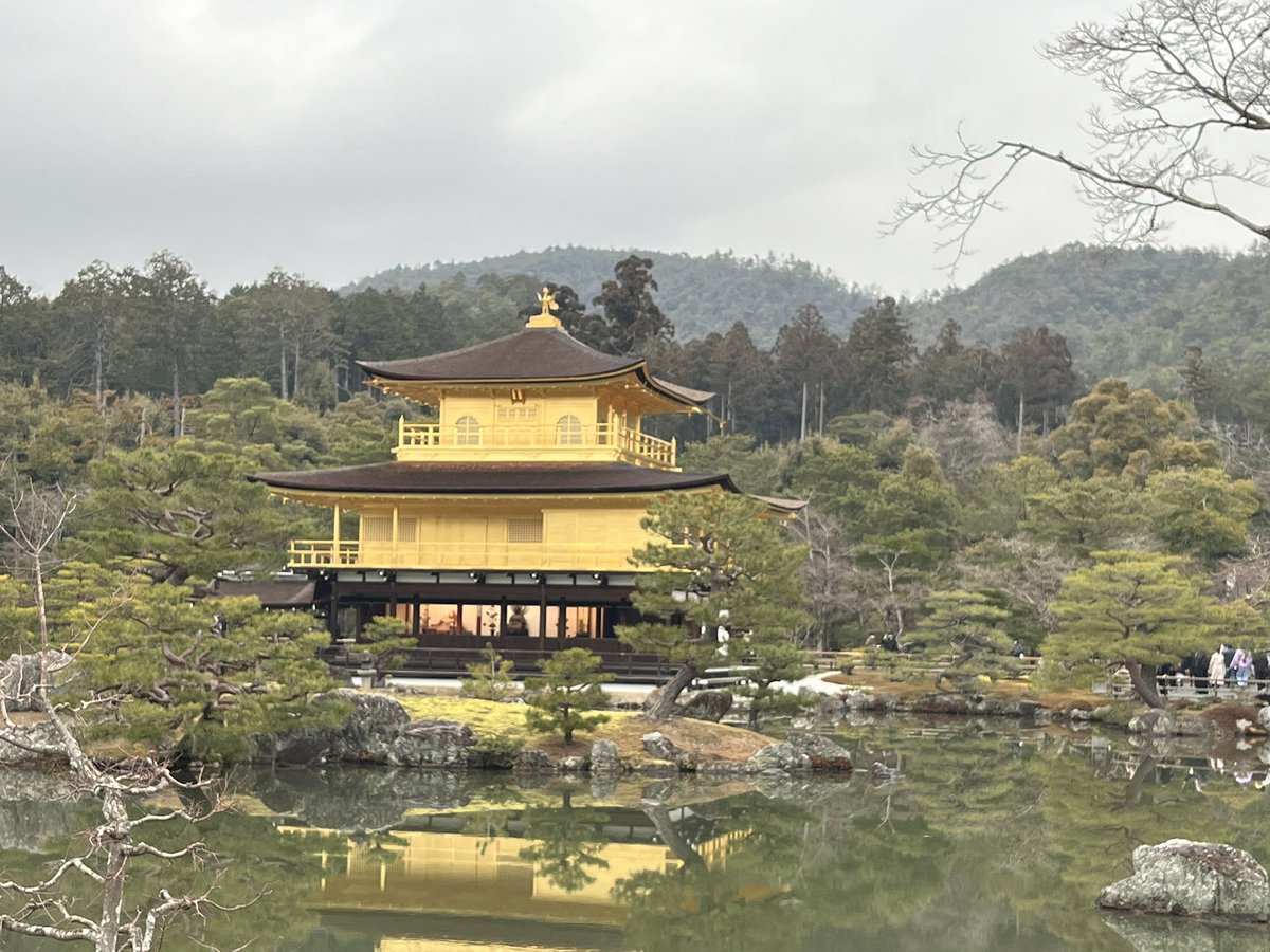 Josefine Proll tweet media