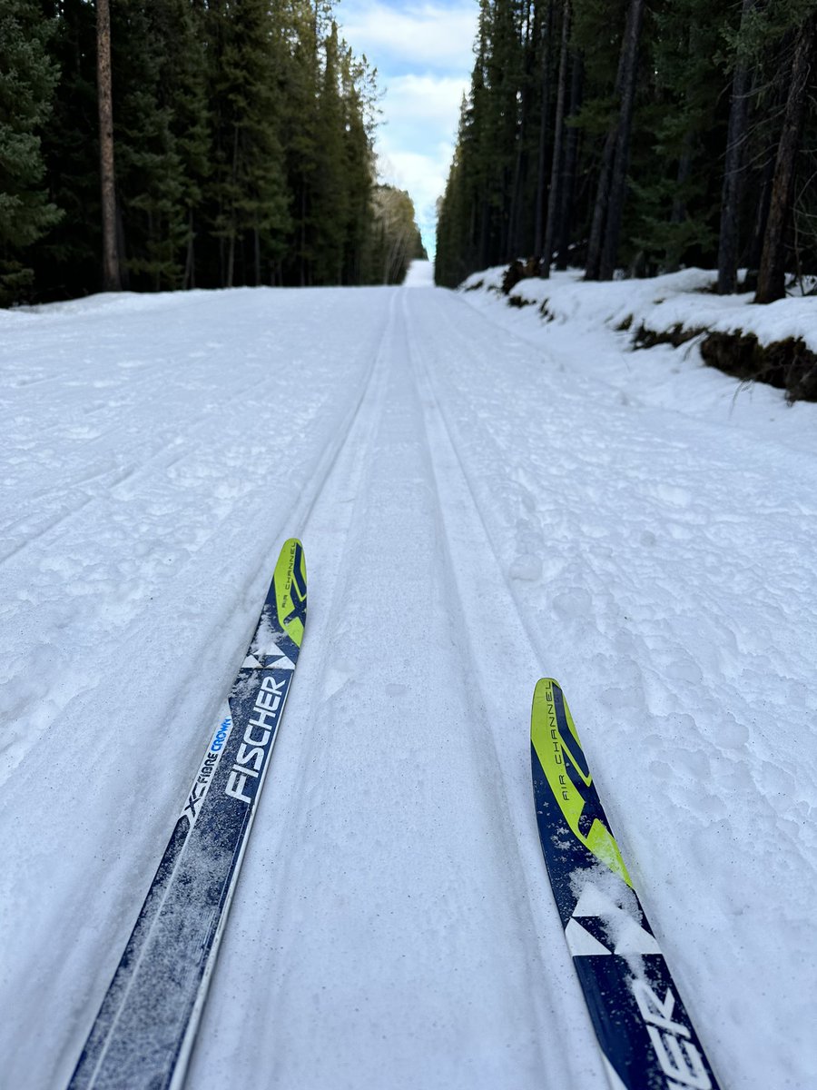 In my happy place today at #westbraggcreek. #skier #classicski #kcountry Just me and a few thousand other people, but hey, I did have several trails to myself.