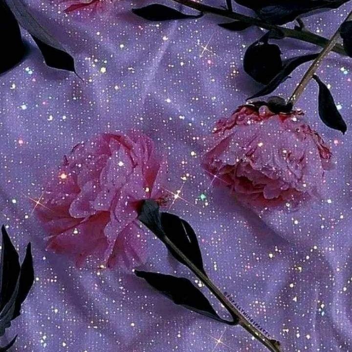 #NuevaFotoDePerfil