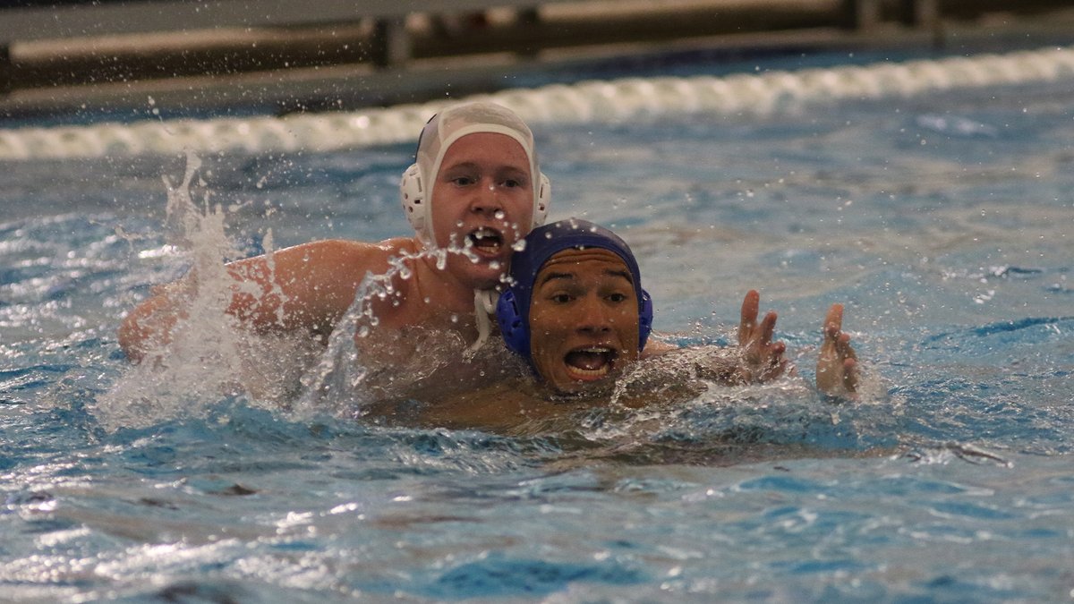 USA Water Polo tweet media