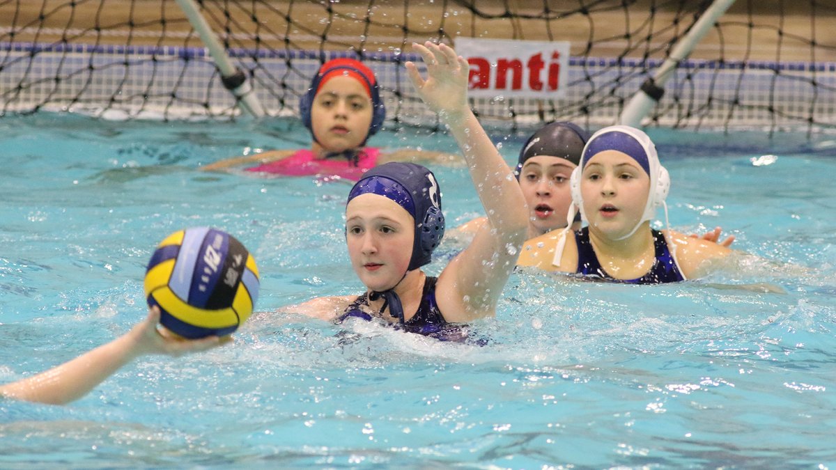 USA Water Polo tweet media