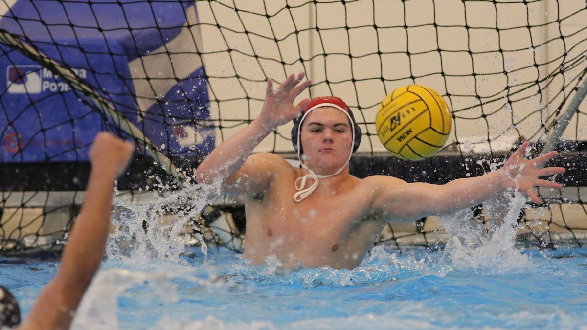 USA Water Polo tweet media