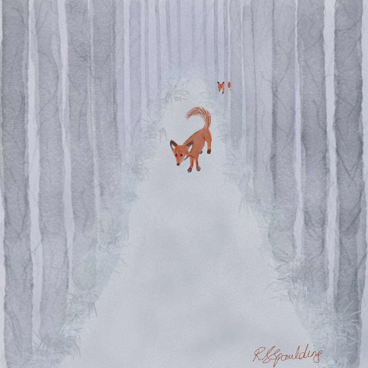 Red fox in snow #watercolor #procreate #childrensbookillustration #watercolorart #kidlit #kidlitillustration #childrensbookart #scbwi #scbwiillustrators #illustration #digitalart #digitalillustration #artistsontwitter