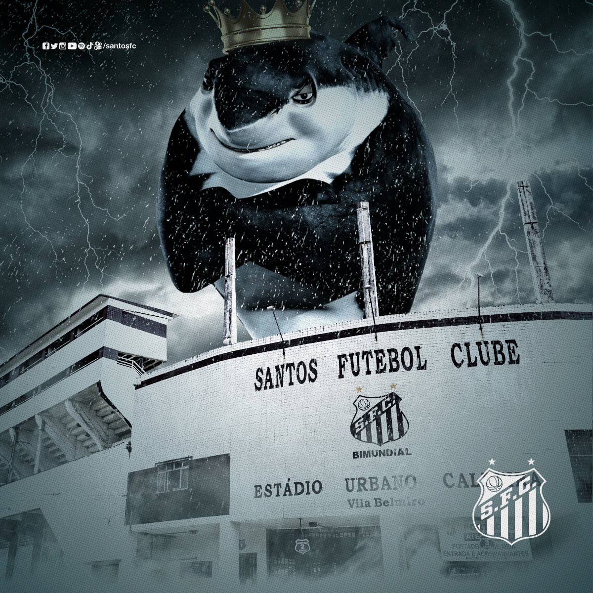 Santos FC on Twitter "O Tuba Rei passou pela Vila! 👑🦈"