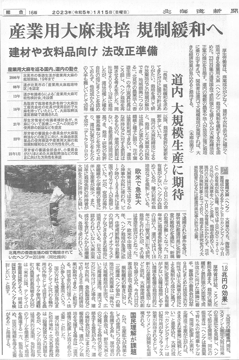 北海道新聞（2023年1月15日）が、久々にヘンプ（産業用大麻）の記事を掲載してくれました。

新春一番、たいへんすばらしい記事です！
これで北海道でも再びヘンプへの関心が高まります。

「産業用大麻栽培　規制緩和へ　
建材や衣料品向け　法改正準備
道内　大規模生産に期待」