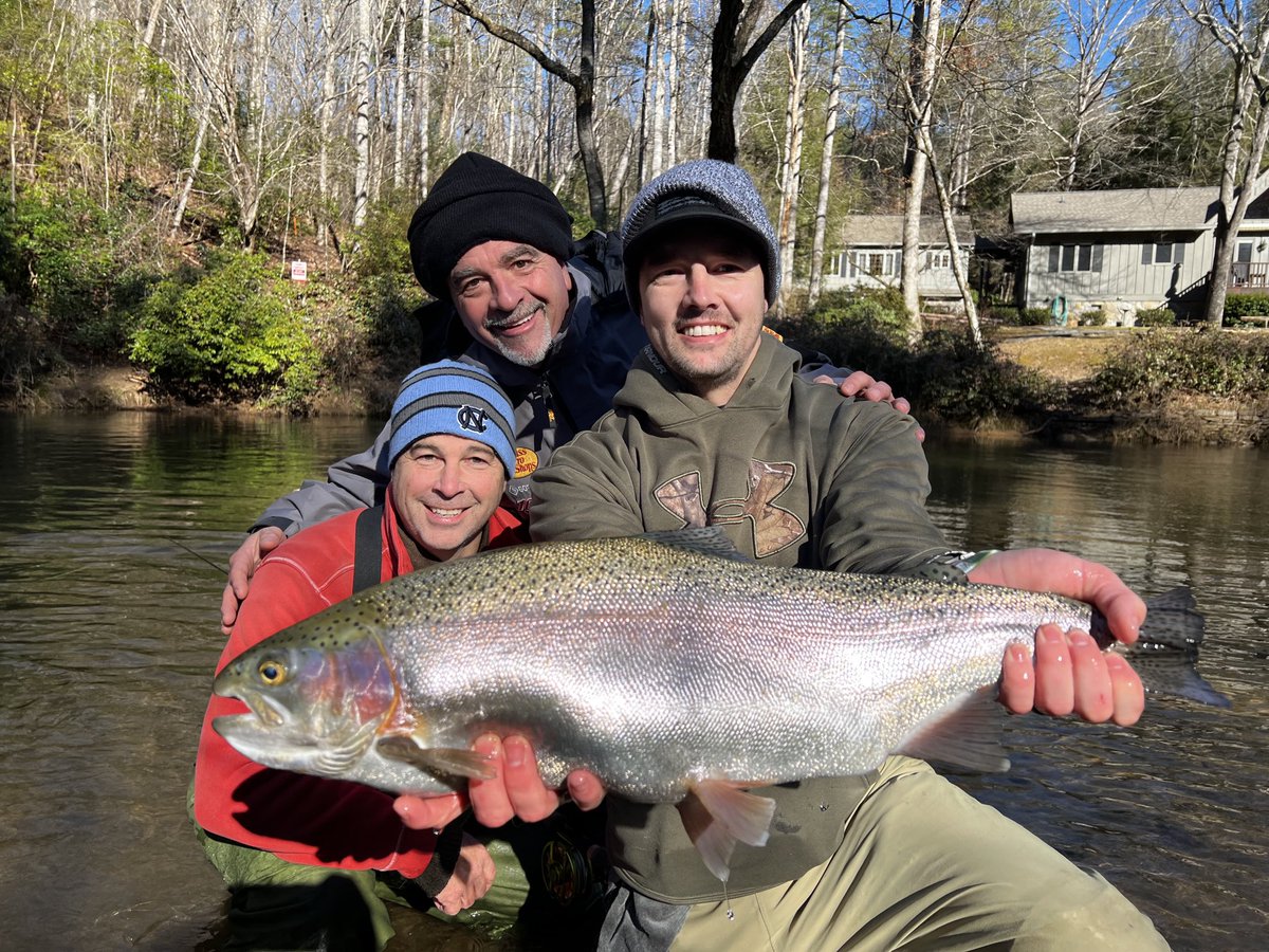 A full day catching hogs like this