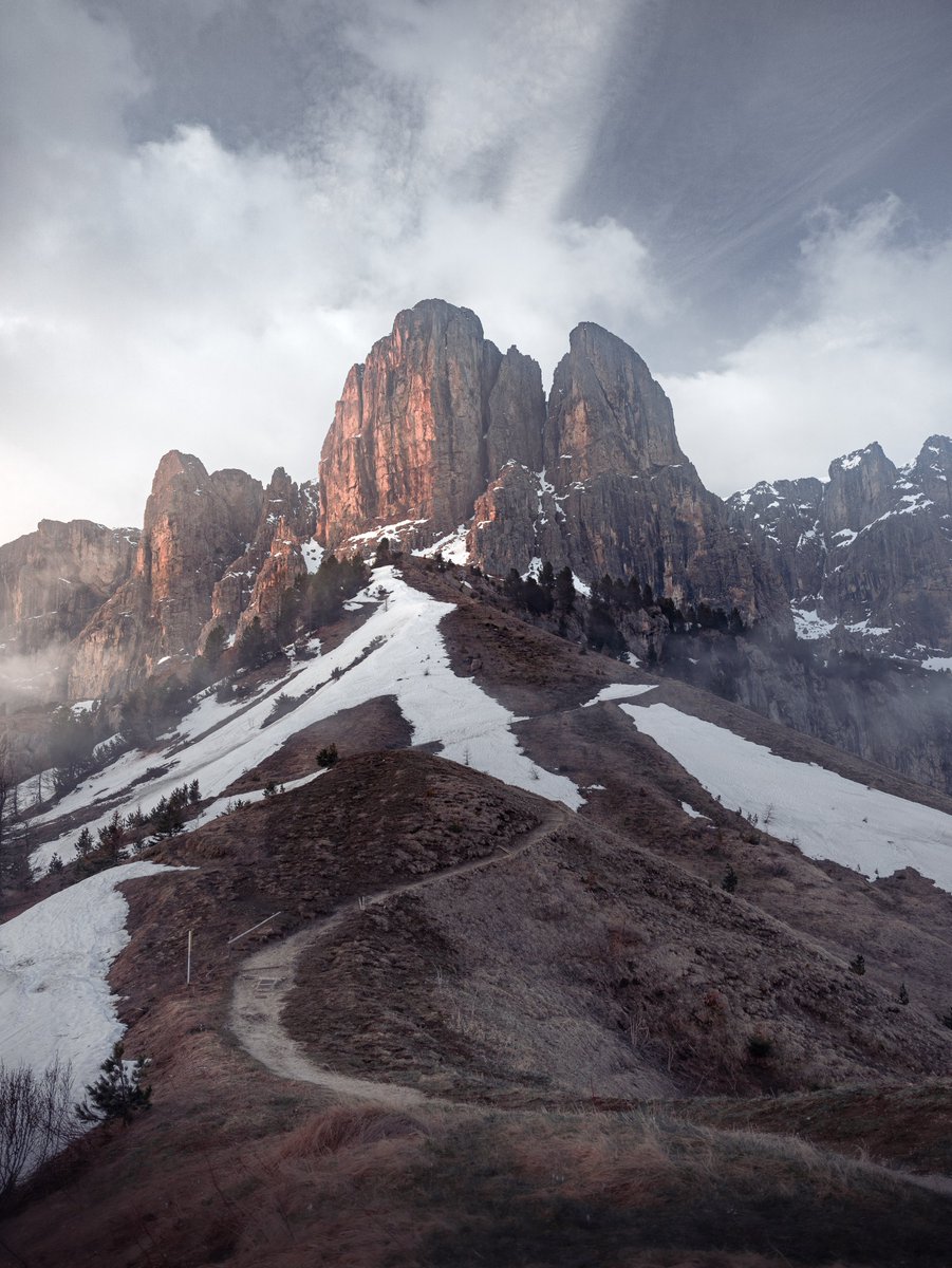 Ina 💎 Limited Edition tweet media