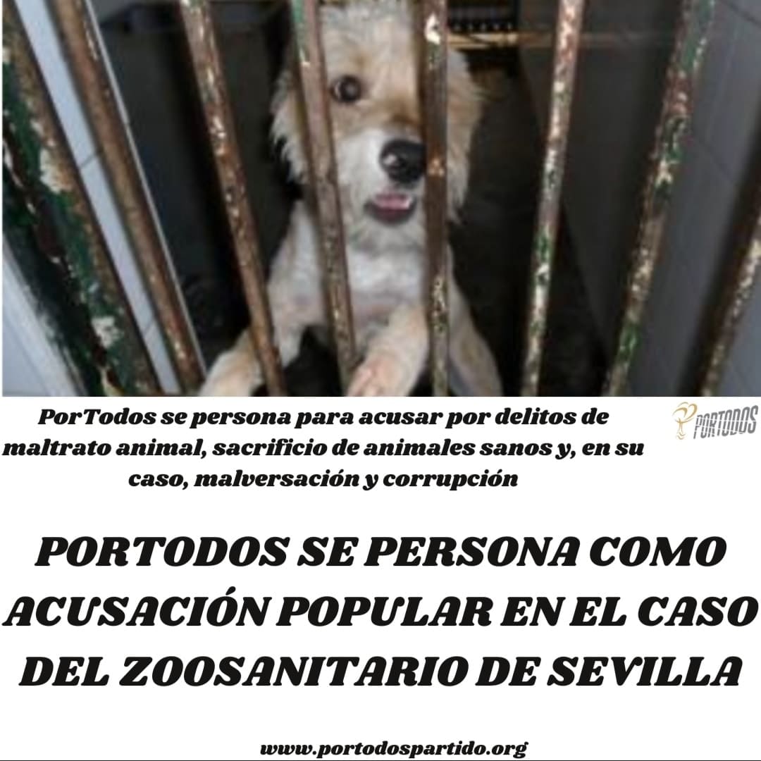 PorTodosPartido's tweet photo. https://t.co/xZGMVGKjmV