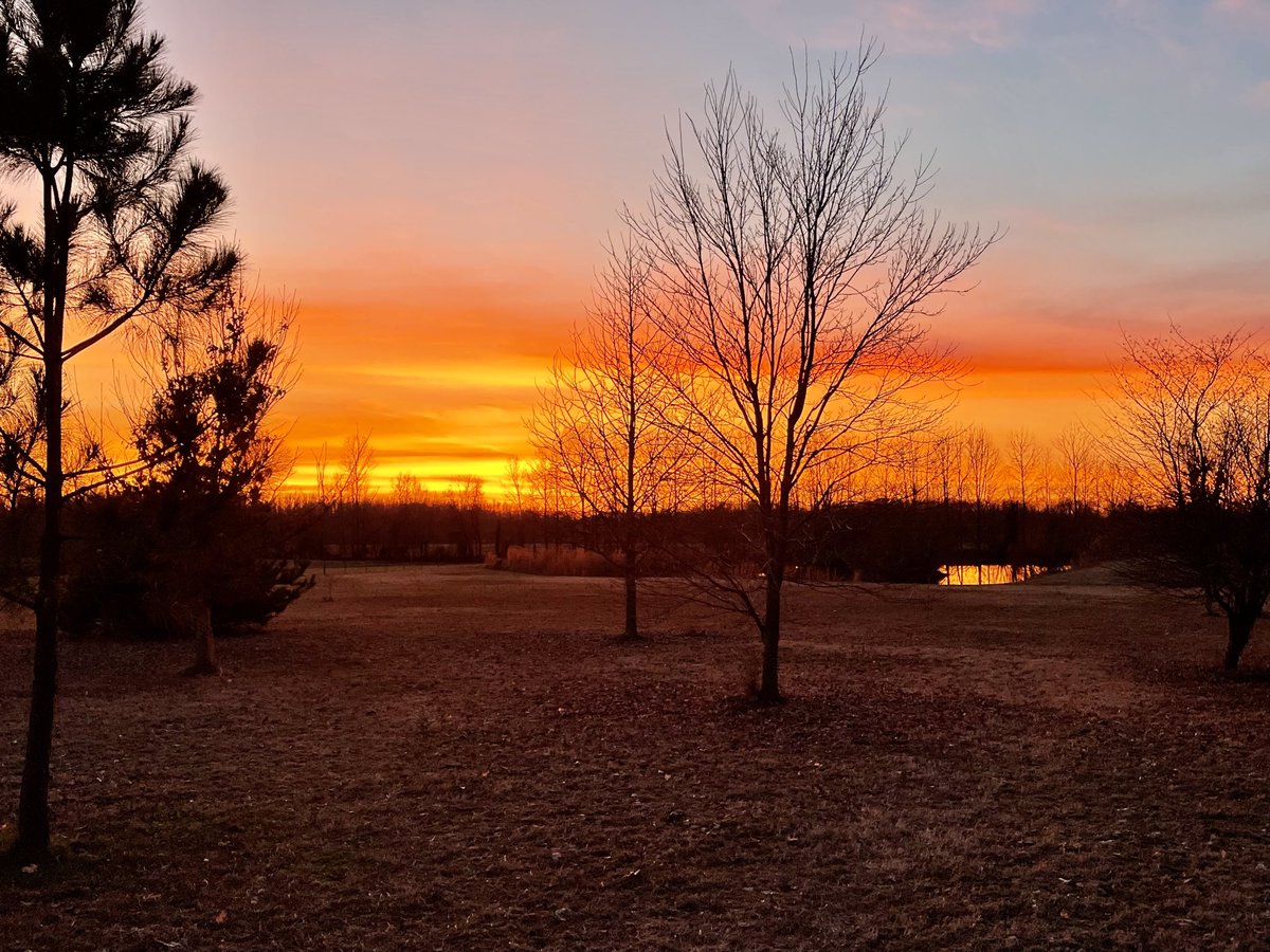 bnassal's tweet photo. ⁦@Dentonwx⁩ ⁦@RonChilders⁩ A nice one tonight in Rosemark https://t.co/rt1NTOkkGM