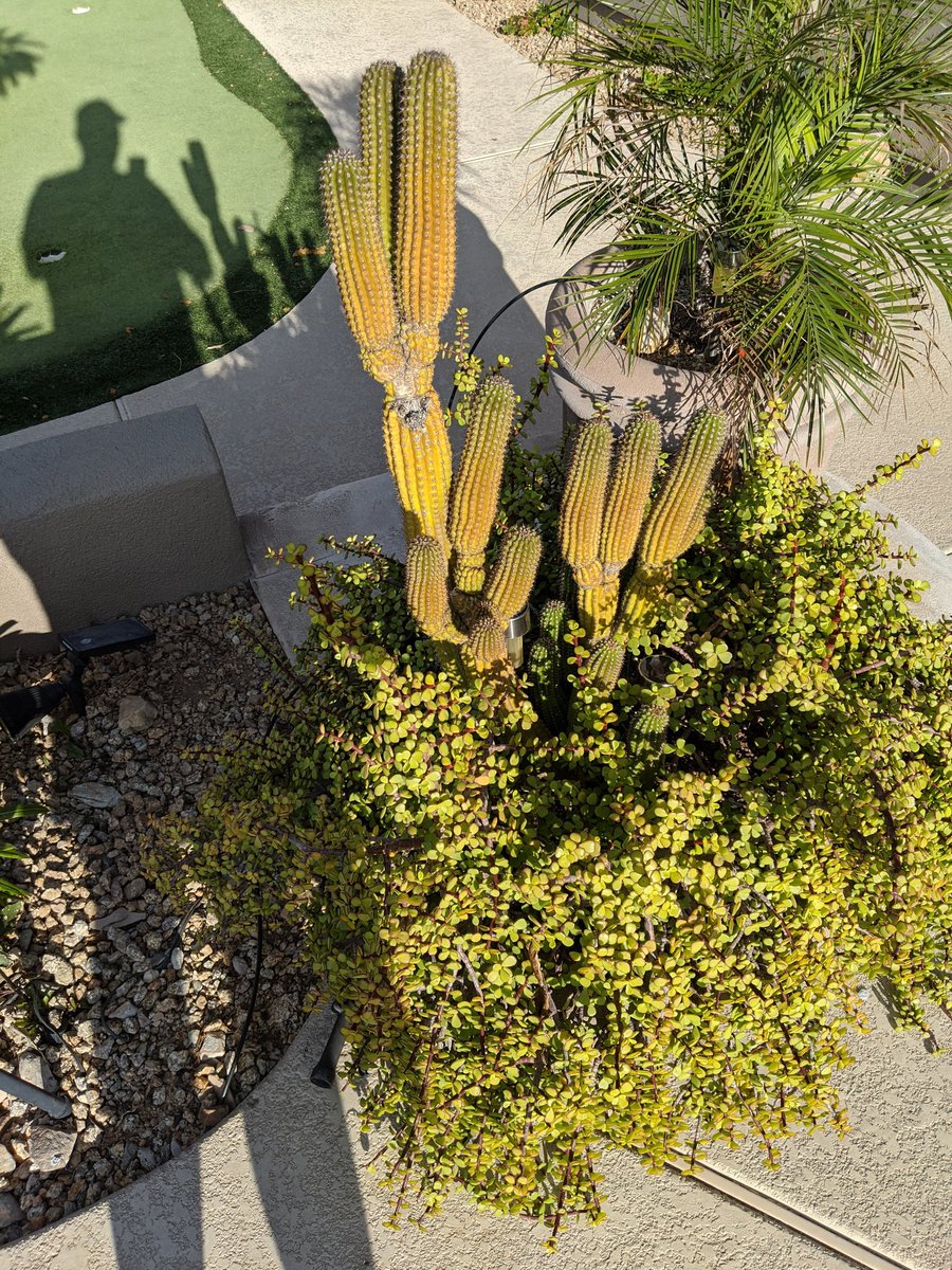 ⛓️Justin⛓️ (@zameleion) on Twitter photo 