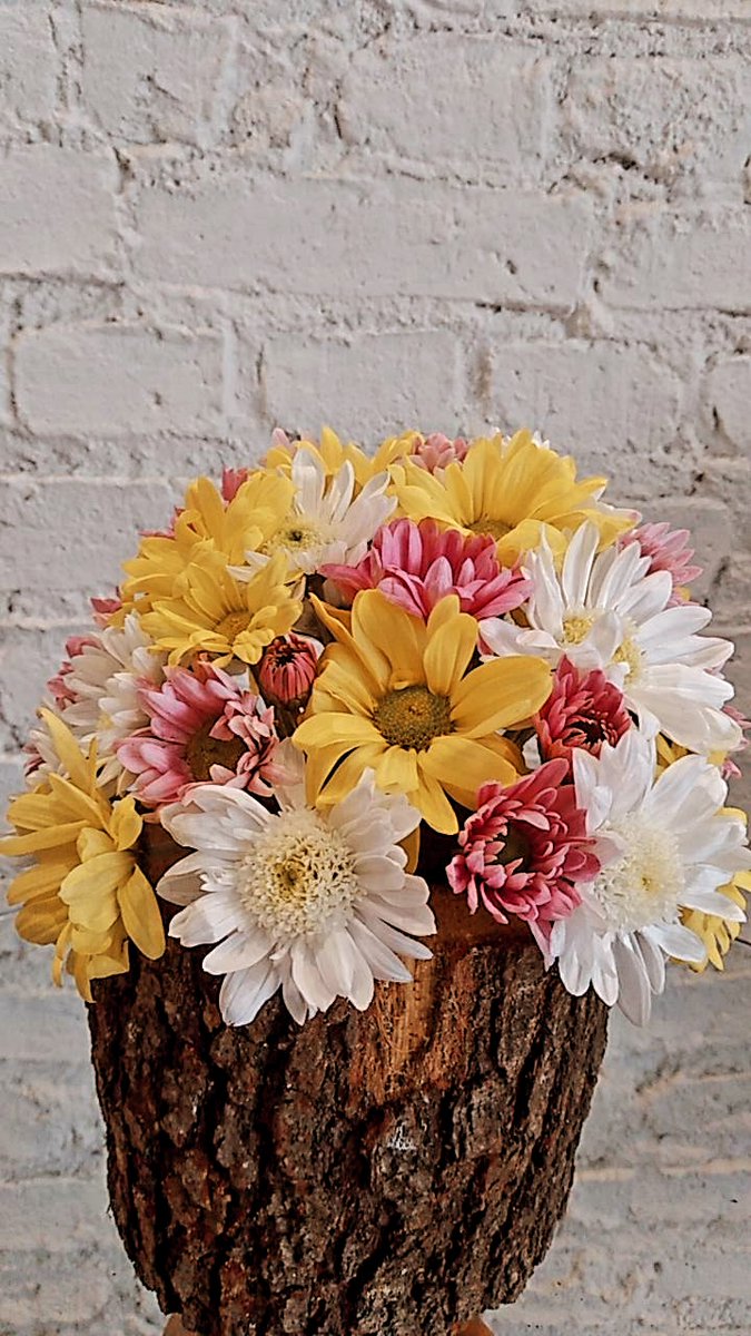 Ah ne güzel papatyalar ile veda etmek  haberi olmayan  insanlara🍀