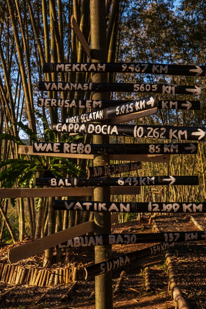 All paths lead to bamboo. Snapped on the Turetogo Bamboo Campus by Ulet Ifansasti