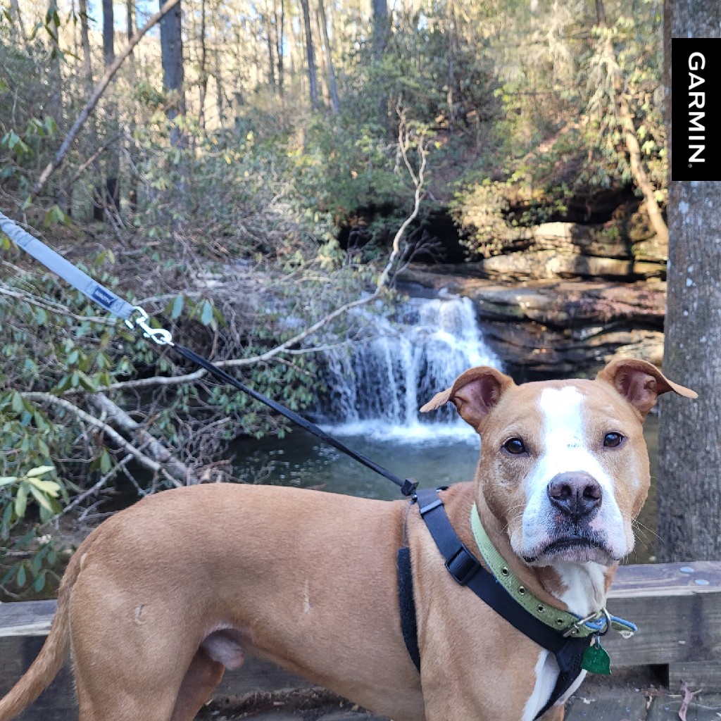 jholmsr1975's tweet image. #garmin Colton's 1st mountain hike. #tablerock