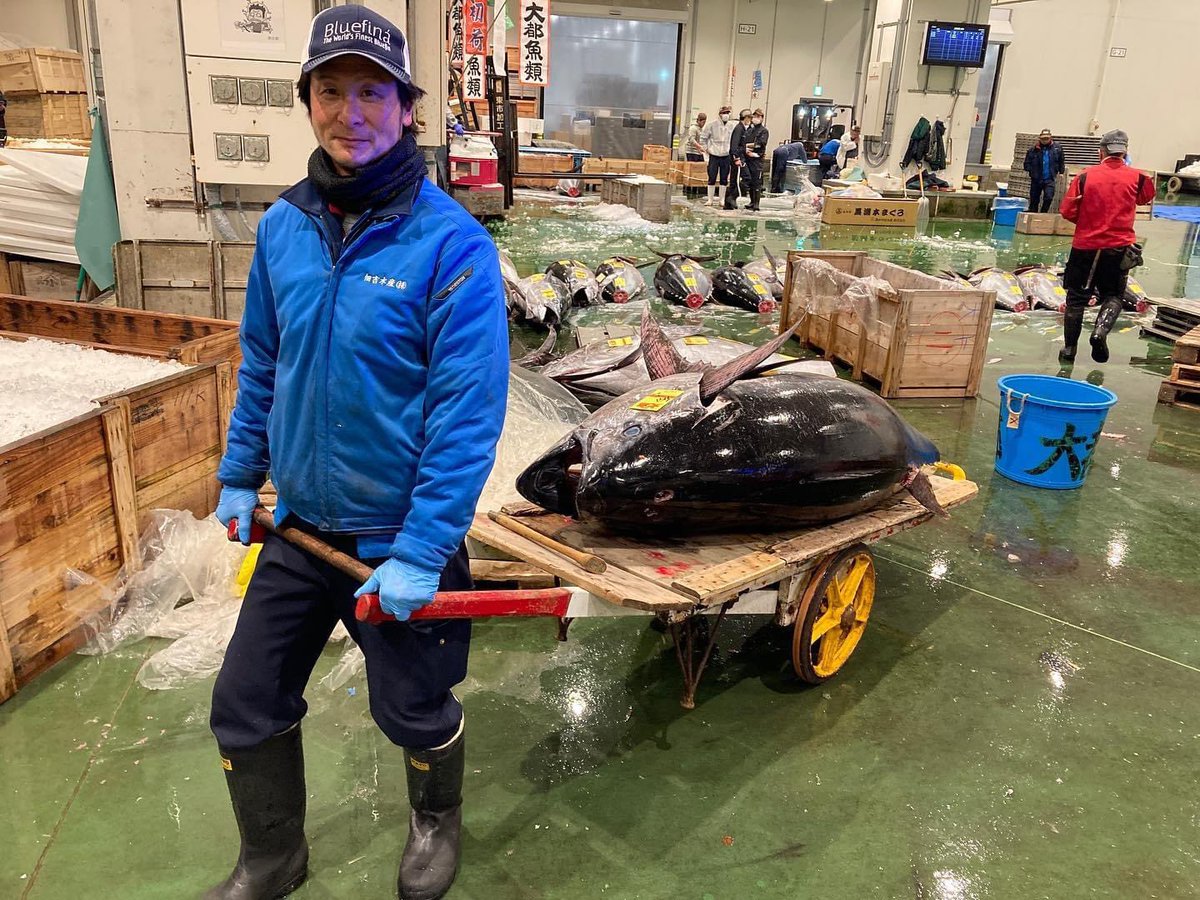 mypal_jp's tweet photo. Some photos from #Toyosu #Fishmarket #fishmarkettour https://t.co/h6UMCreV5z