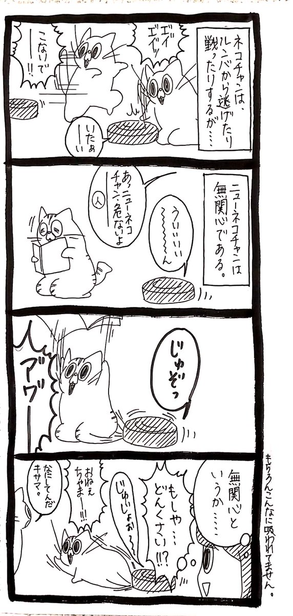 ルンバにもとろい 