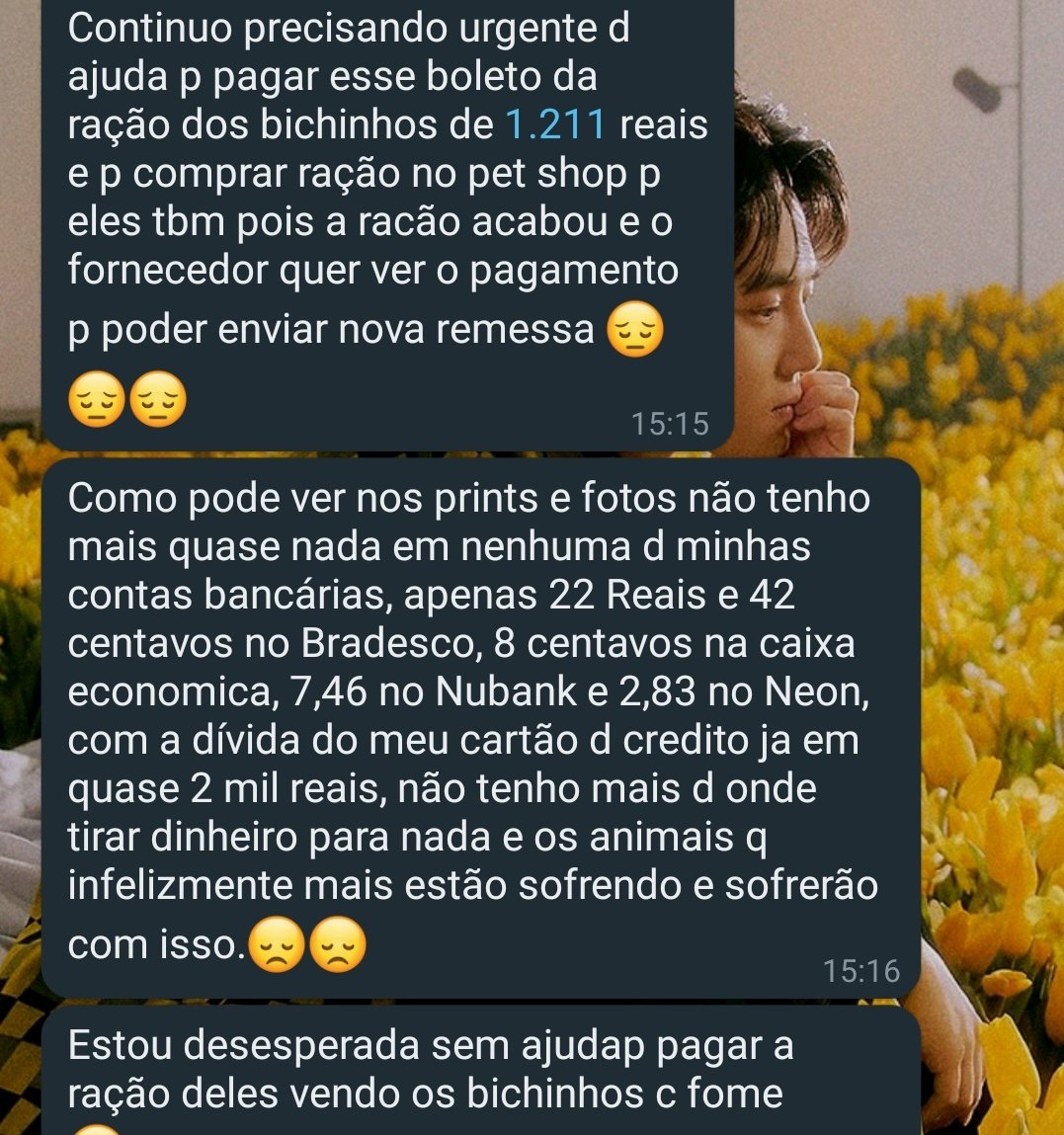 babidewet's tweet photo. ⚠️ Os bichinhos da Gisele tão morrendo de fome! A ração dos cachorrinhos acabou e a dos gatinhos tá no final. Ela só consegue pedir mais se pagar o boleto da loja, se alguém puder ajudar, qualquer 5 reais pode salvar muitos animais carentes! 😭💛

O pix dela é: 07305047783 https://t.co/2YDgR8H1td