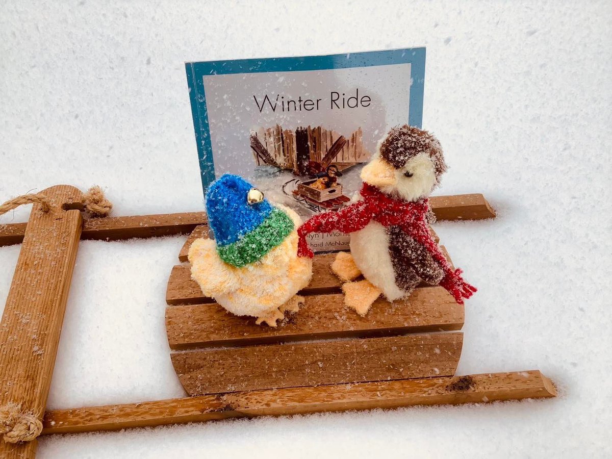 Just another Winter Ride with Chick and Duckling 🛷 
#booksmakegreatgifts