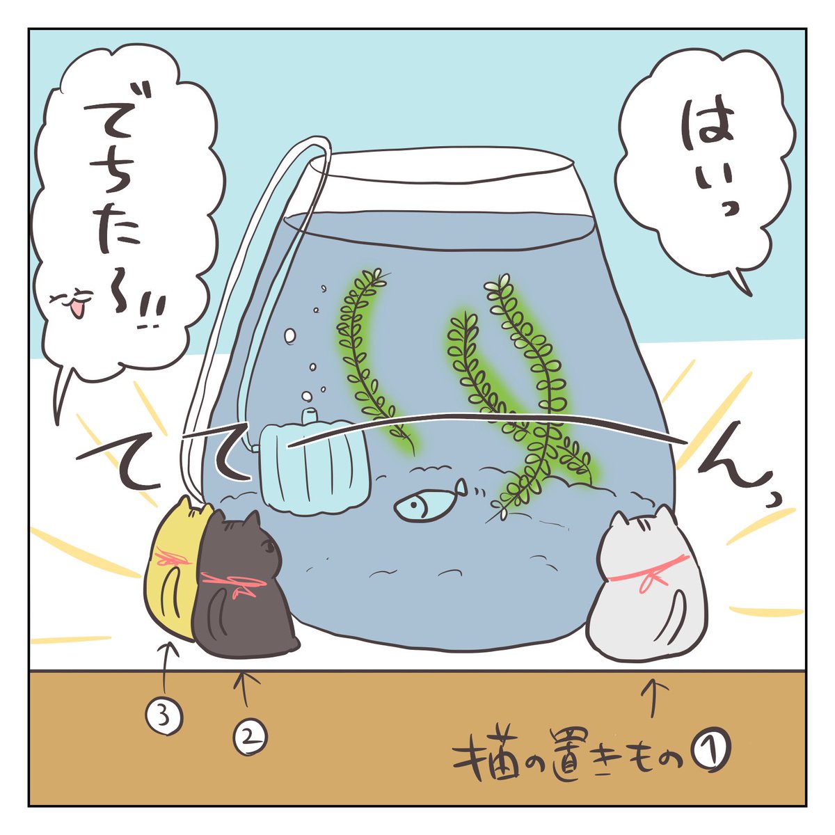 息子とめだか(2/3) 