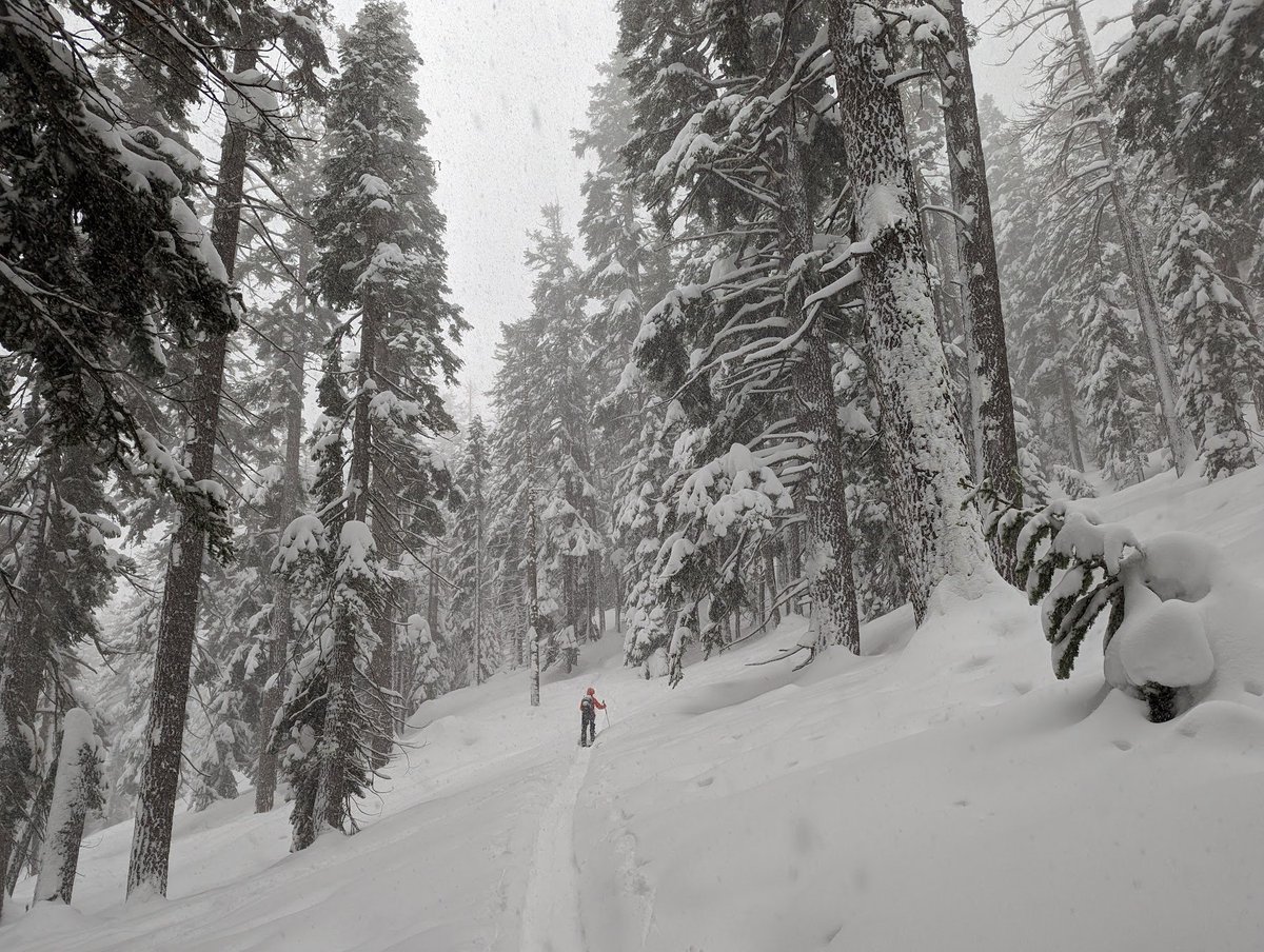 stevemeier853's tweet photo. Thanks to the split boarders ahead who cut trail for me. The ski down was pretty much a straight line with snow up to my thighs. #JanuBURIED https://t.co/cOm6k0oGm0