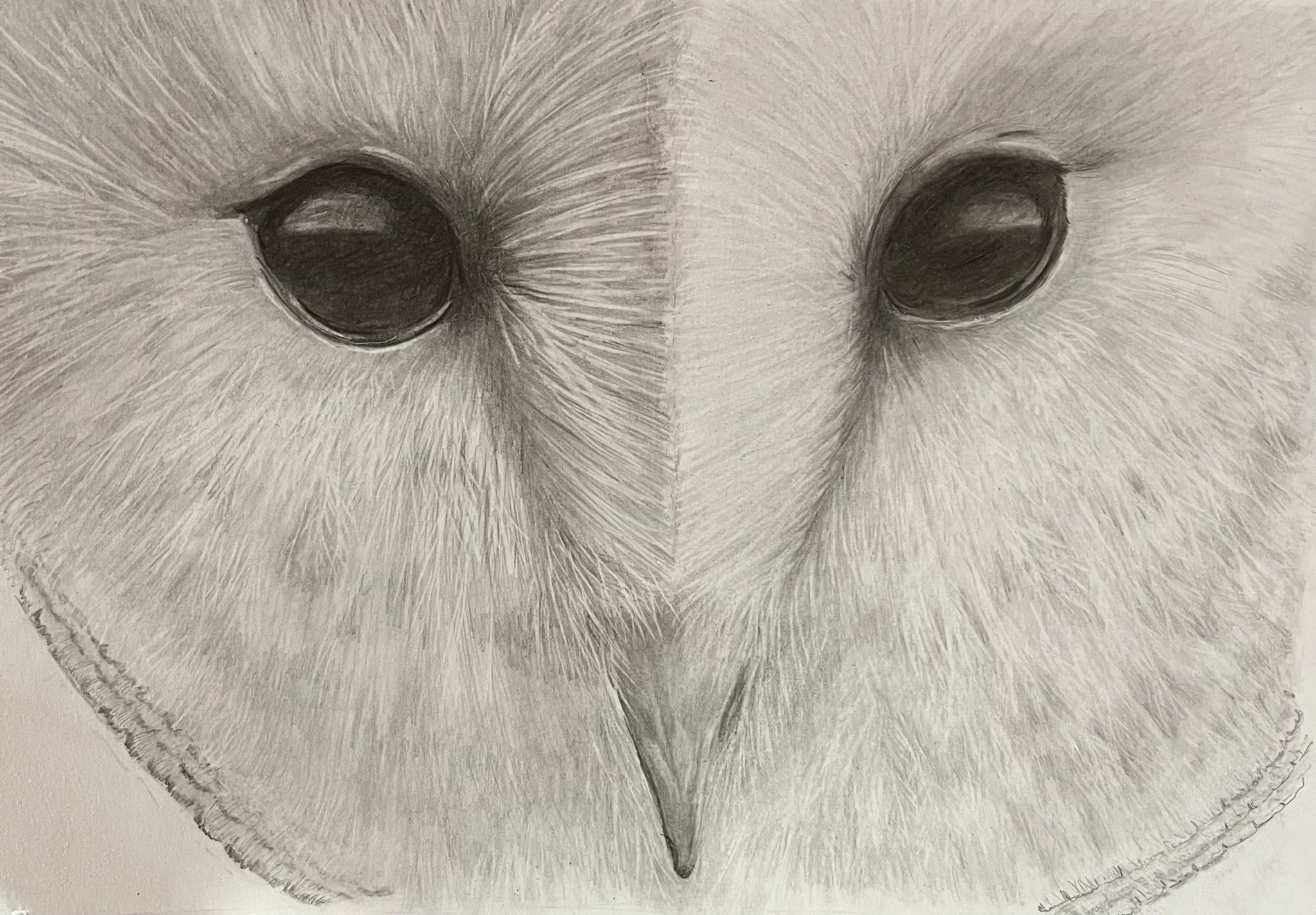 Amazon.com: Barn Owl Bright Red Eyes Bird Pastel Acrylic Painting ...