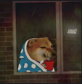 Good evening bonkers. Enjoy the weekend! 
A strong community can achieve incredible things.
$DB #DOGEBONKETH #BTC #BULLRUN #BULLMARKET #SHIB #DOGE #ETH