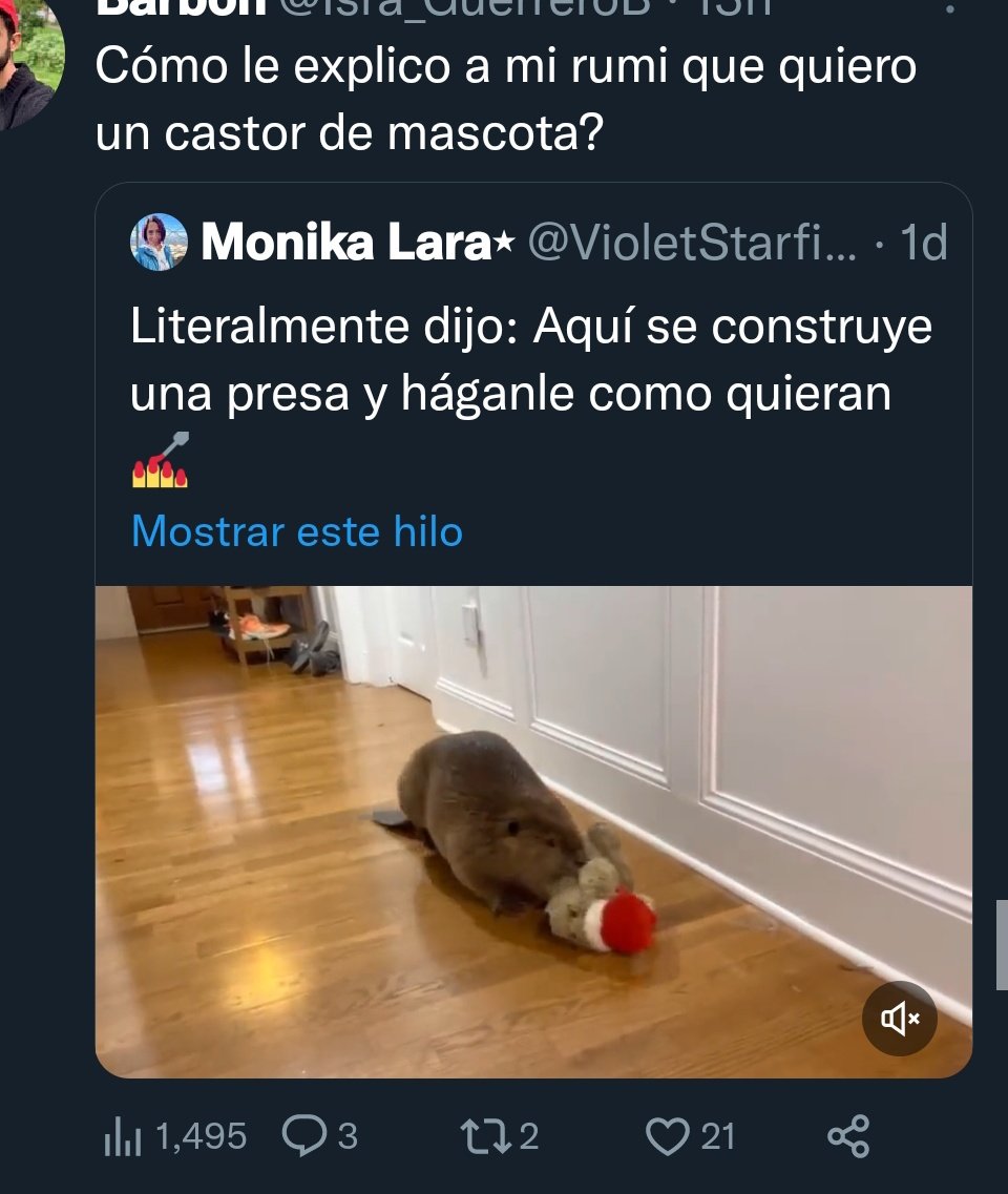 denunciafauna's tweet photo. @VioletStarfish @masbienquerido @catiprimate @N_CastelblancoM @Lizzasaldivarr Aumenta la desinformación y normaliza q la gente los quiera tener como mascotas.

Solo revisa los tuits citados al video de todos los q dicen q quieren uno como mascota.

Te dejo algunos https://t.co/TDMZLuHLPH