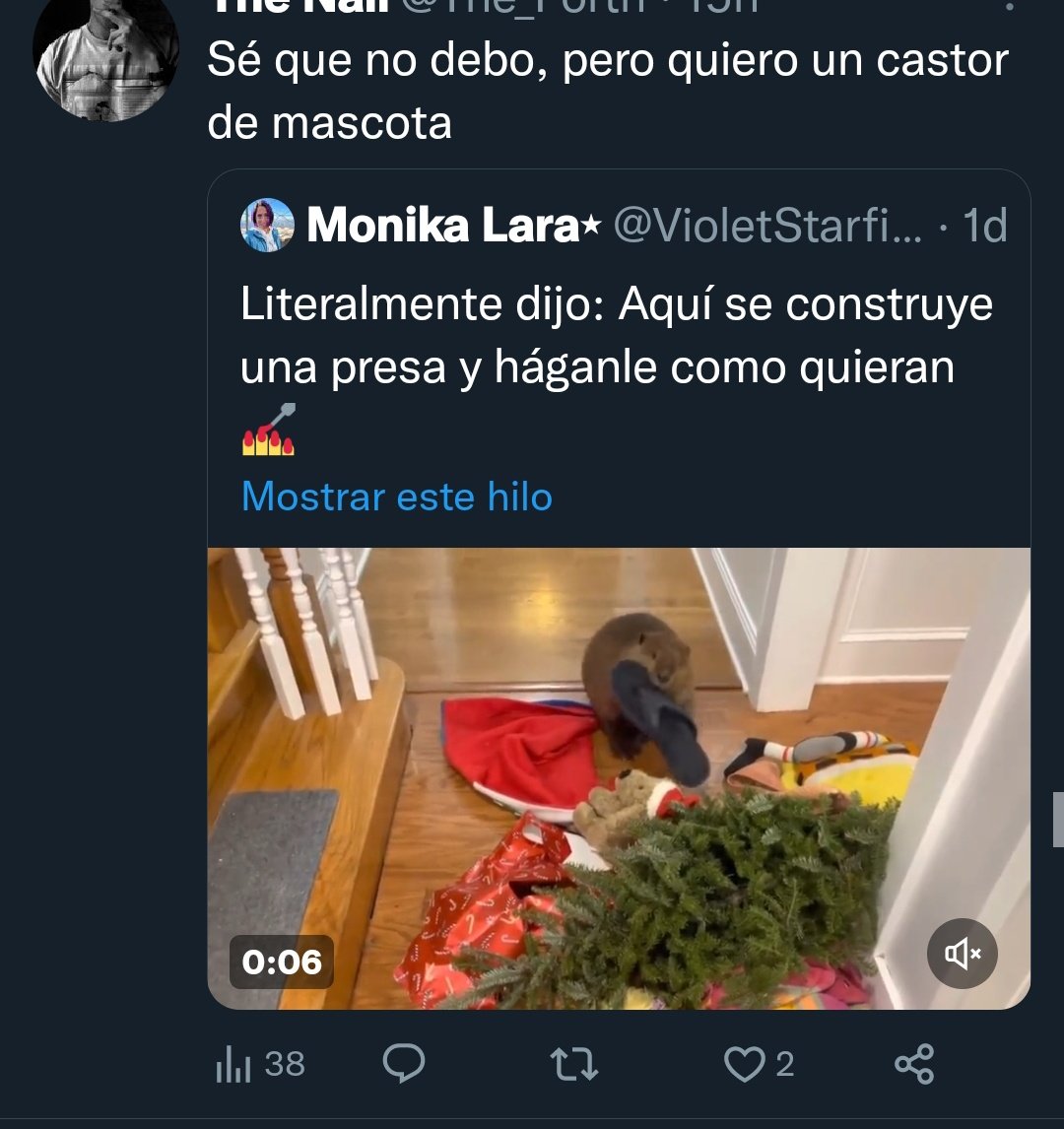 denunciafauna's tweet photo. @VioletStarfish @masbienquerido @catiprimate @N_CastelblancoM @Lizzasaldivarr Aumenta la desinformación y normaliza q la gente los quiera tener como mascotas.

Solo revisa los tuits citados al video de todos los q dicen q quieren uno como mascota.

Te dejo algunos https://t.co/TDMZLuHLPH