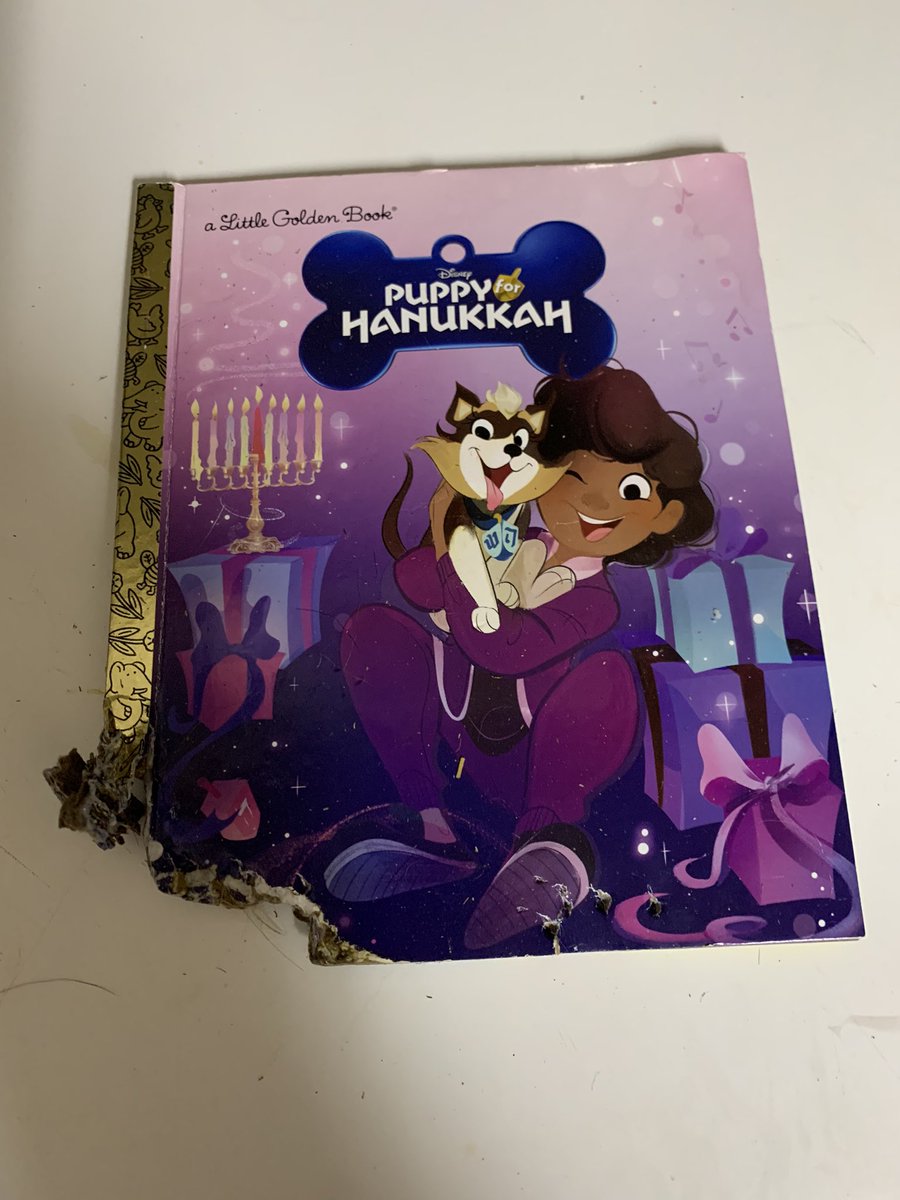 leco22's tweet photo. When you ask for a #puppyforhanukkah you get what you ask for. @DaveedDiggs #littlegoldenbook https://t.co/jb00evU2ge