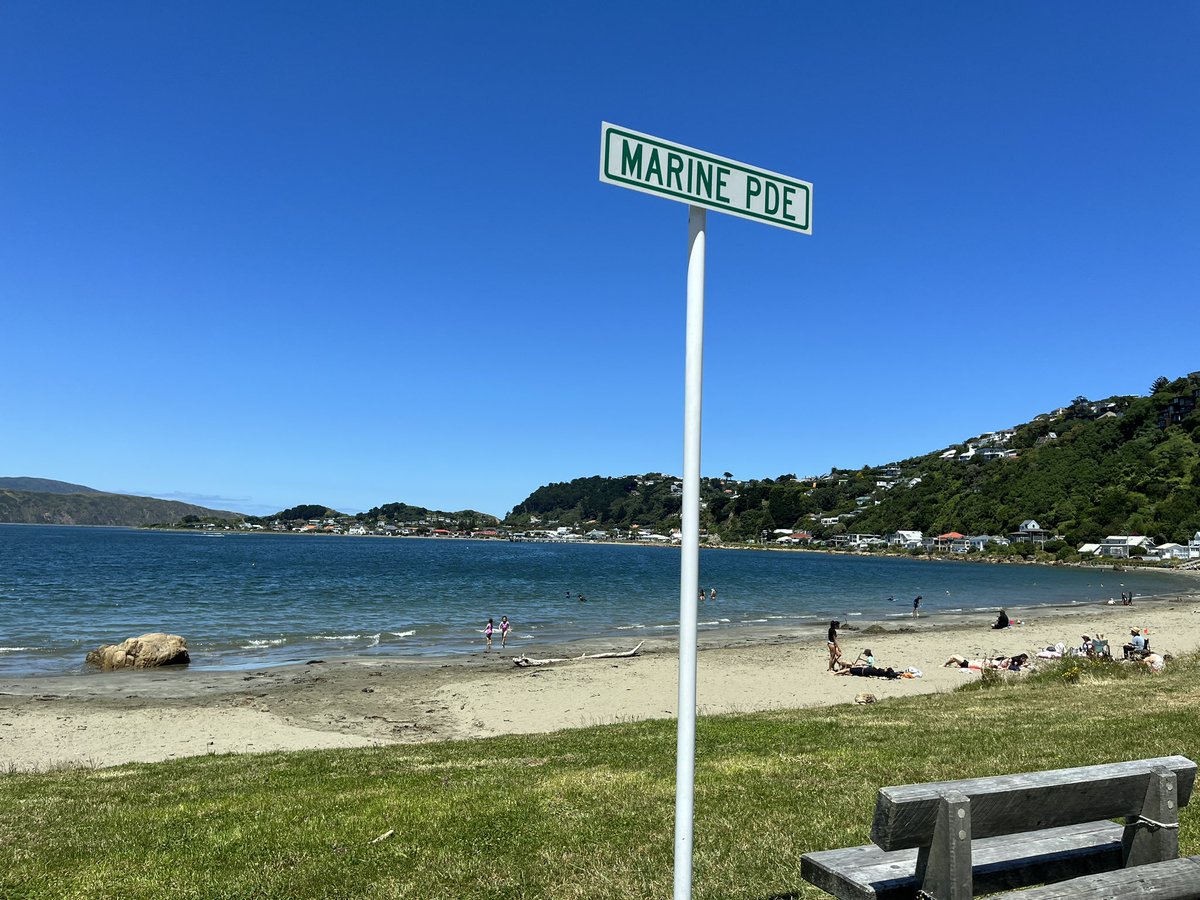 Te Whanganui-a-Tara, I’m coming for you. The weather is always like this, right?