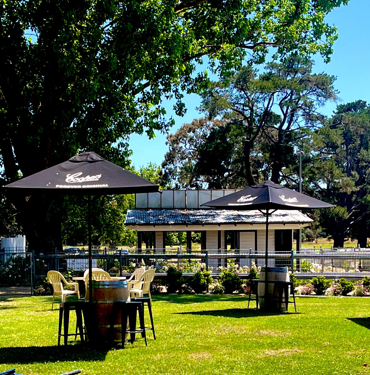 The sun is out and we can’t wait to get under away in Orange today for the transferred Cowra Cup. <a href="/COWRAJOCKEYCLUB/">Cowra Jockey Club</a>