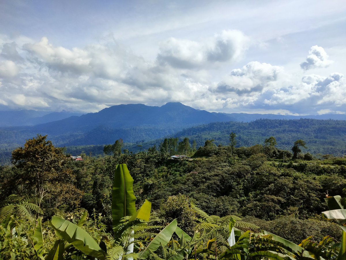 this is a view of the morning atmosphere today in one of the mountains in the north aceh area, the atmosphere this morning is in such bright conditions.
#iweb3 #krsuccess #wormhole3