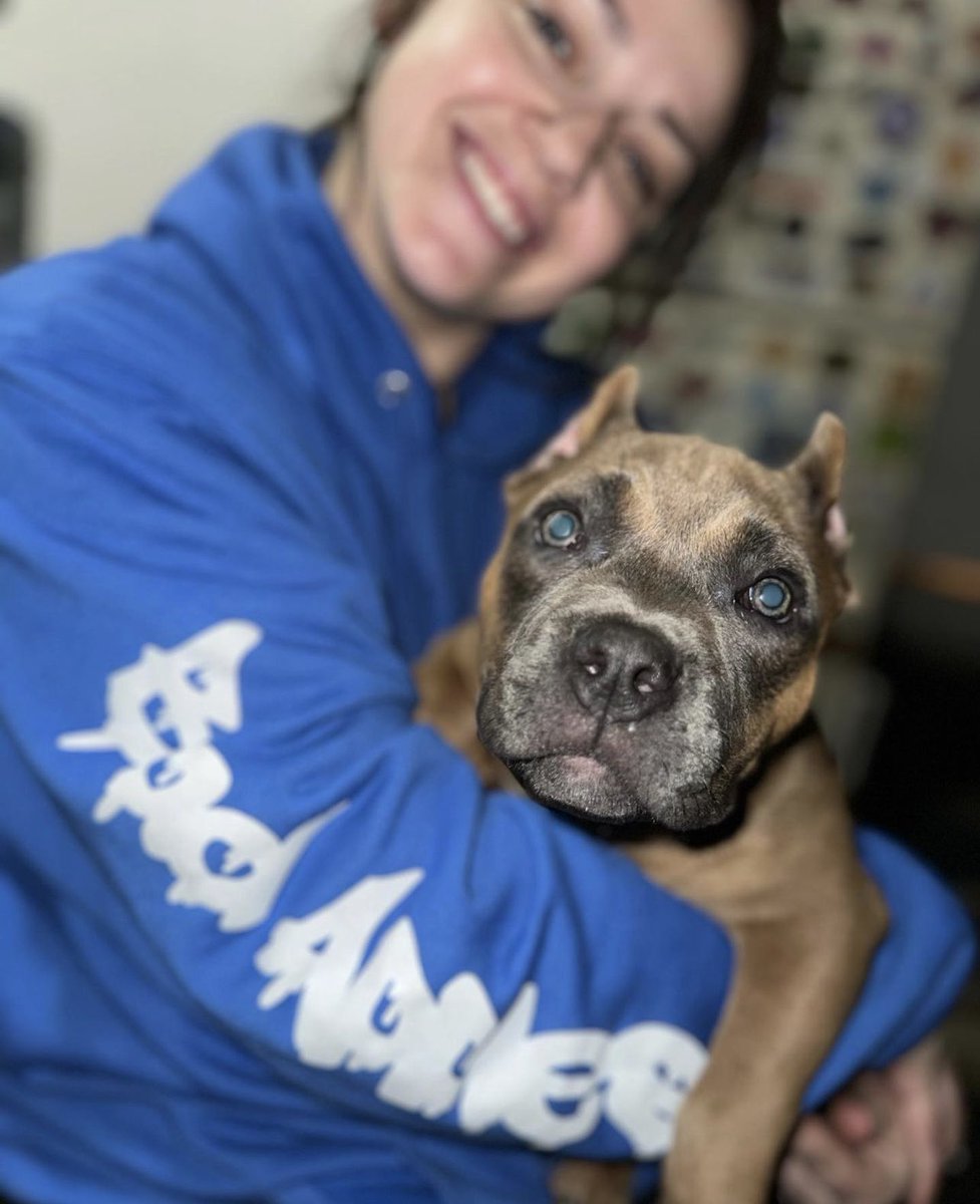 Lennon aka Lenny 🐶

 12 week pupdate 🐾🦴

#americanbully #bully #dontbullymybully #americanbullypuppy