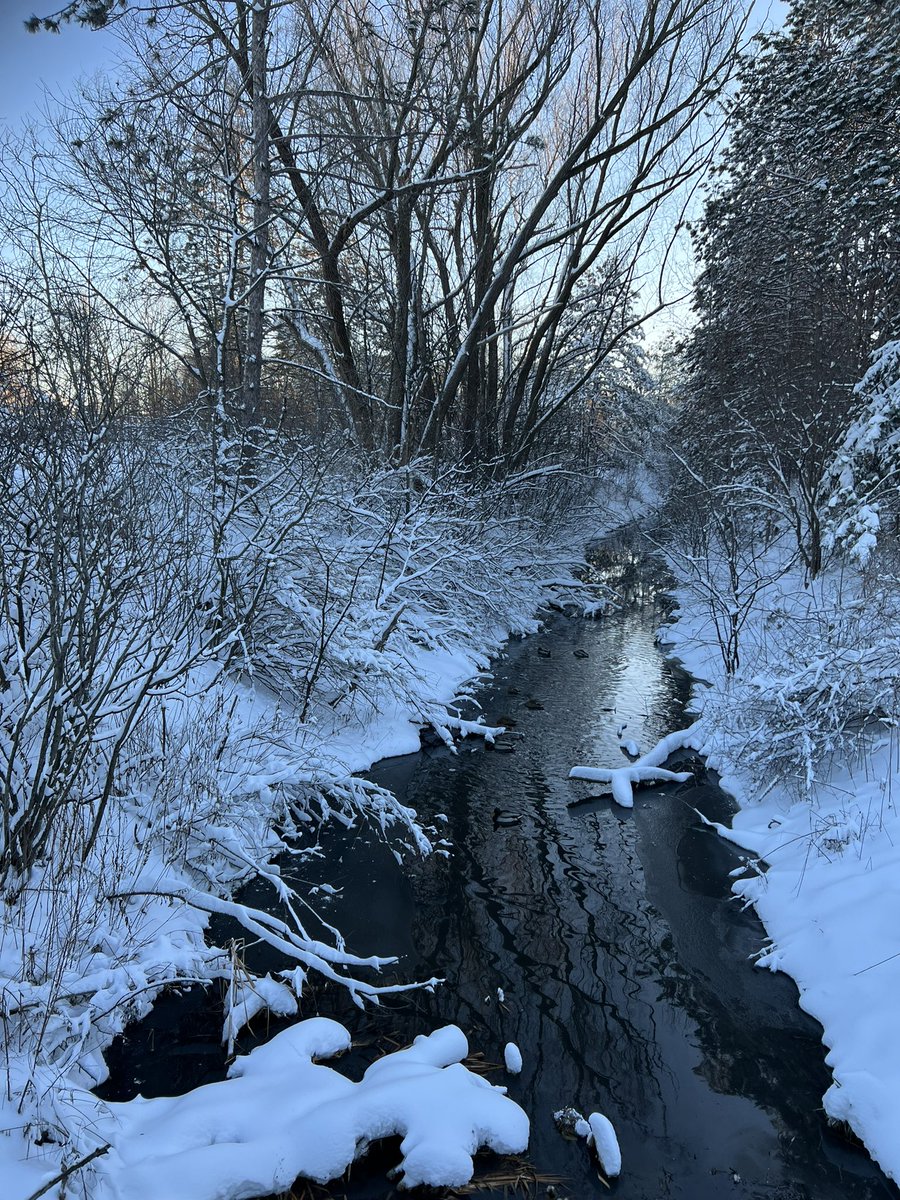 OttTreeHugger's tweet photo. #simplepleasures #HuntclubForest #DUCKSLIVEHERE #NATURElivesHERE @OmarAlghabra @s_guilbeault @DavidMcGuinty @FlyYOW #ottawa #on #cda #climateActionNeeded #HandsOff https://t.co/EC0swiJRyF