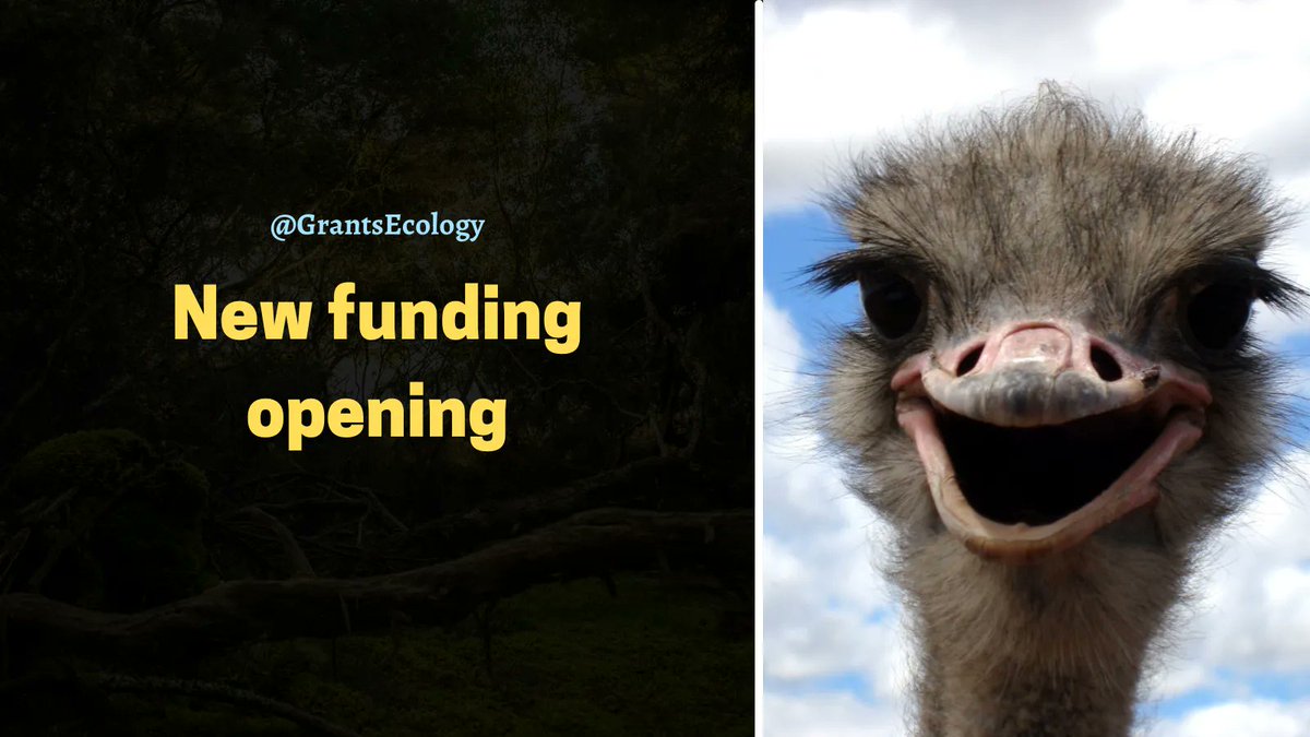 GrantsEcology's tweet photo. 🔥 New grant open for ecologists &amp; wildlife researchers from World Wildlife Fund.  Apply to the Environmental and Social Impact Assessment Grant for up to $15000.  Deadline: 2023-04-15

🔗 https://t.co/zNcUkGPVlE

#AcademicTwitter @PhDVoice https://t.co/P6iDgbVqYq
