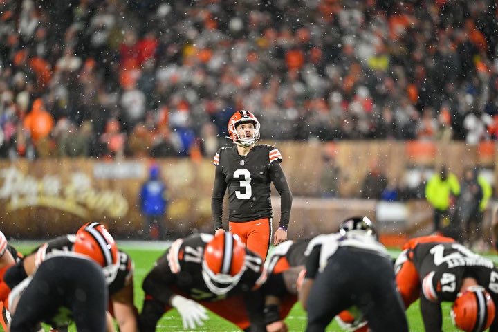 Cade York tweet media