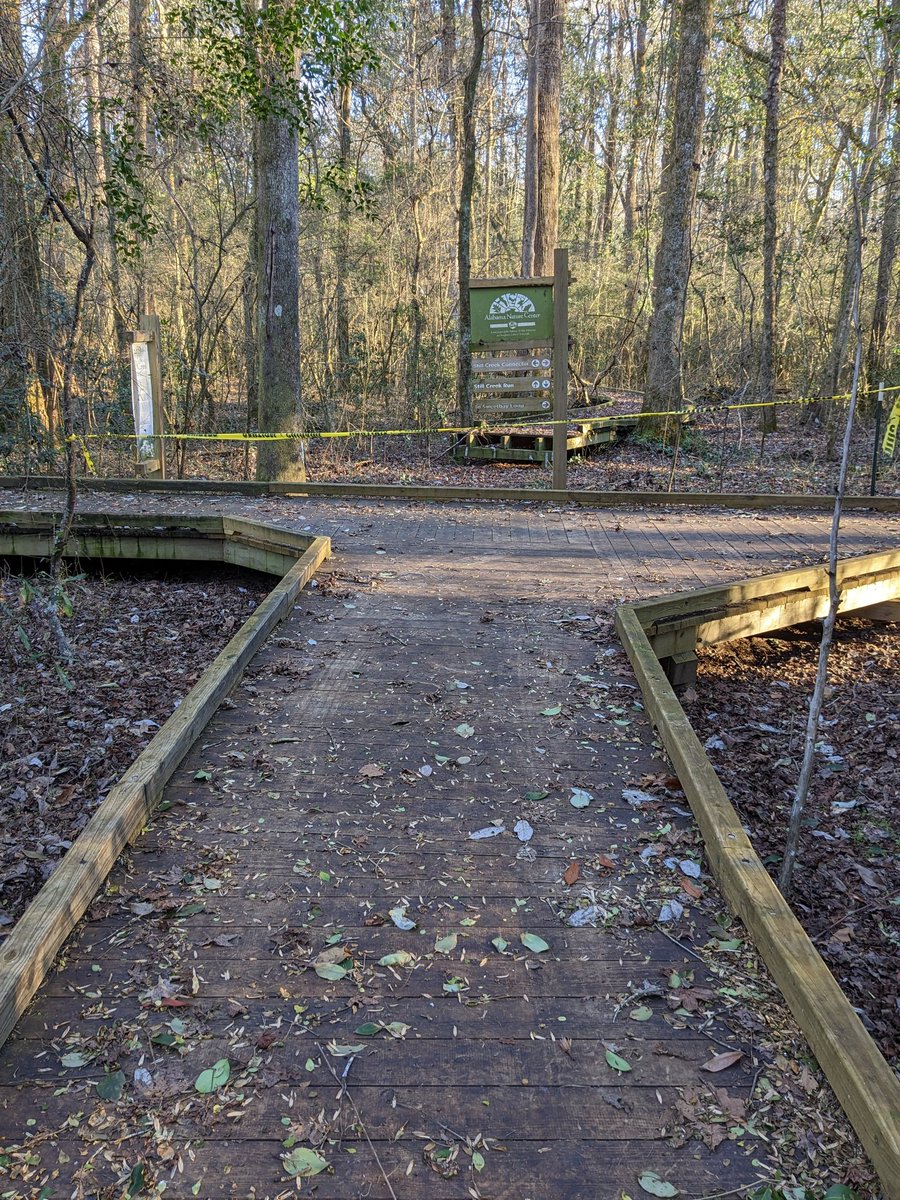 Dan Burt tweet media