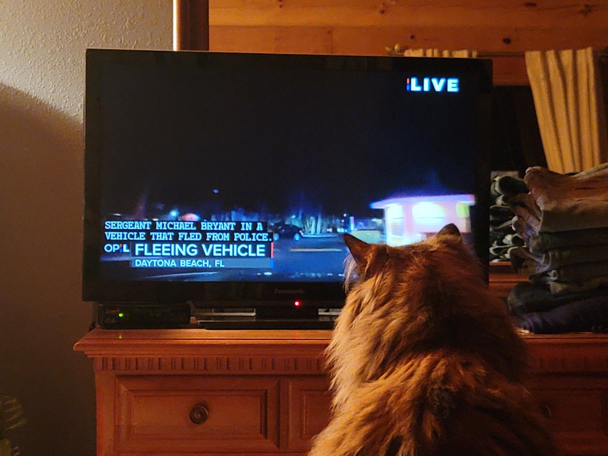 dizydb17's tweet photo. Opal is a fan! #Onpatrollive #OPLiveNation https://t.co/cUfix9PuSN