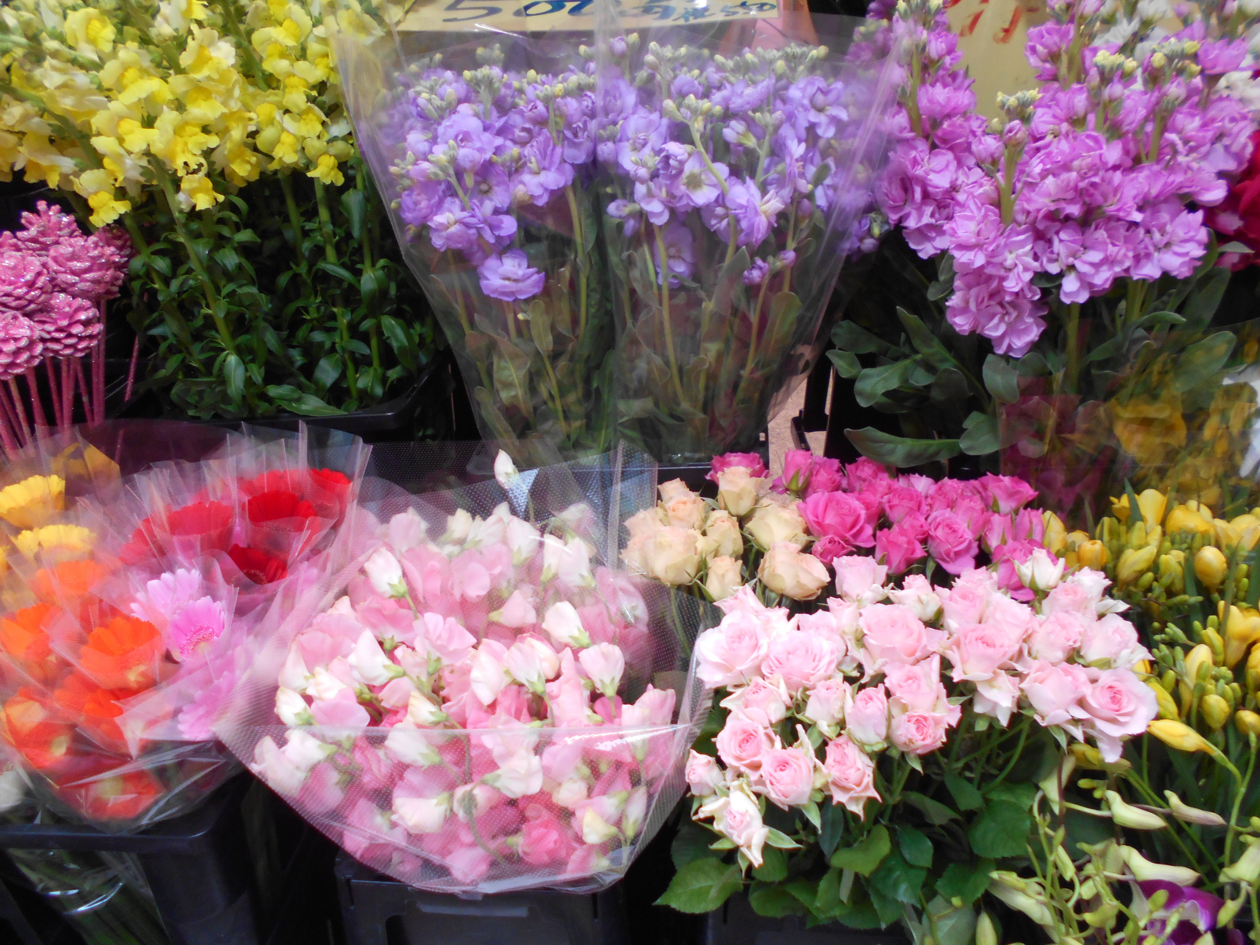 フラワーマルシェ Flowermarche01 Twitter