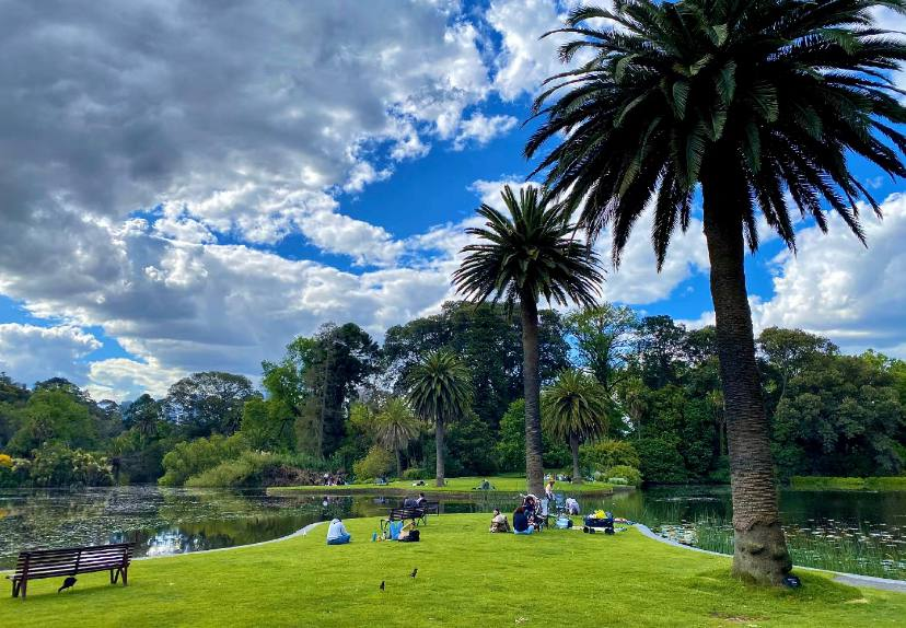 KeLin_1987's tweet image. I haven't been to the botanical garden for a long time and found Anthony's chair☺️
fulfill a little wish🙏