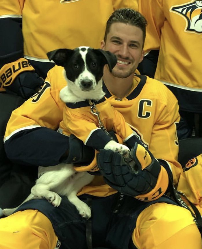 PredsNHLPup's tweet photo. Send my @PredsNHL buddies to the All Star Game, Smashville! VOTE! 

#NHLAllStarVote   Filip Forsberg
#NHLAllStarVote   Roman Josi

Hit that RT! https://t.co/6qucoKpnre